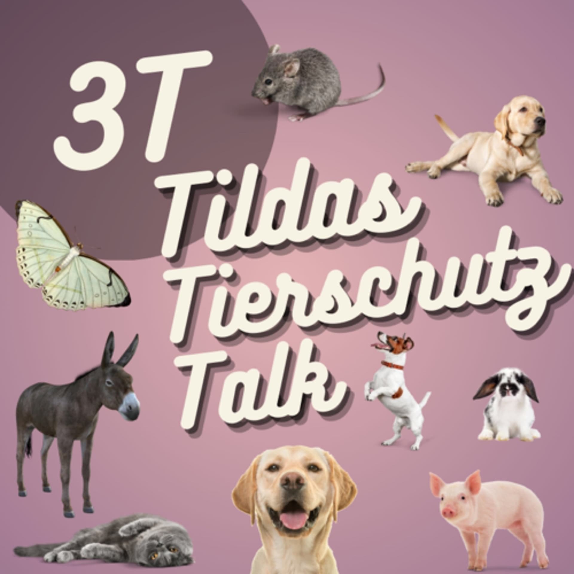 3T - Tildas Tierschutz Talk - Podcasts