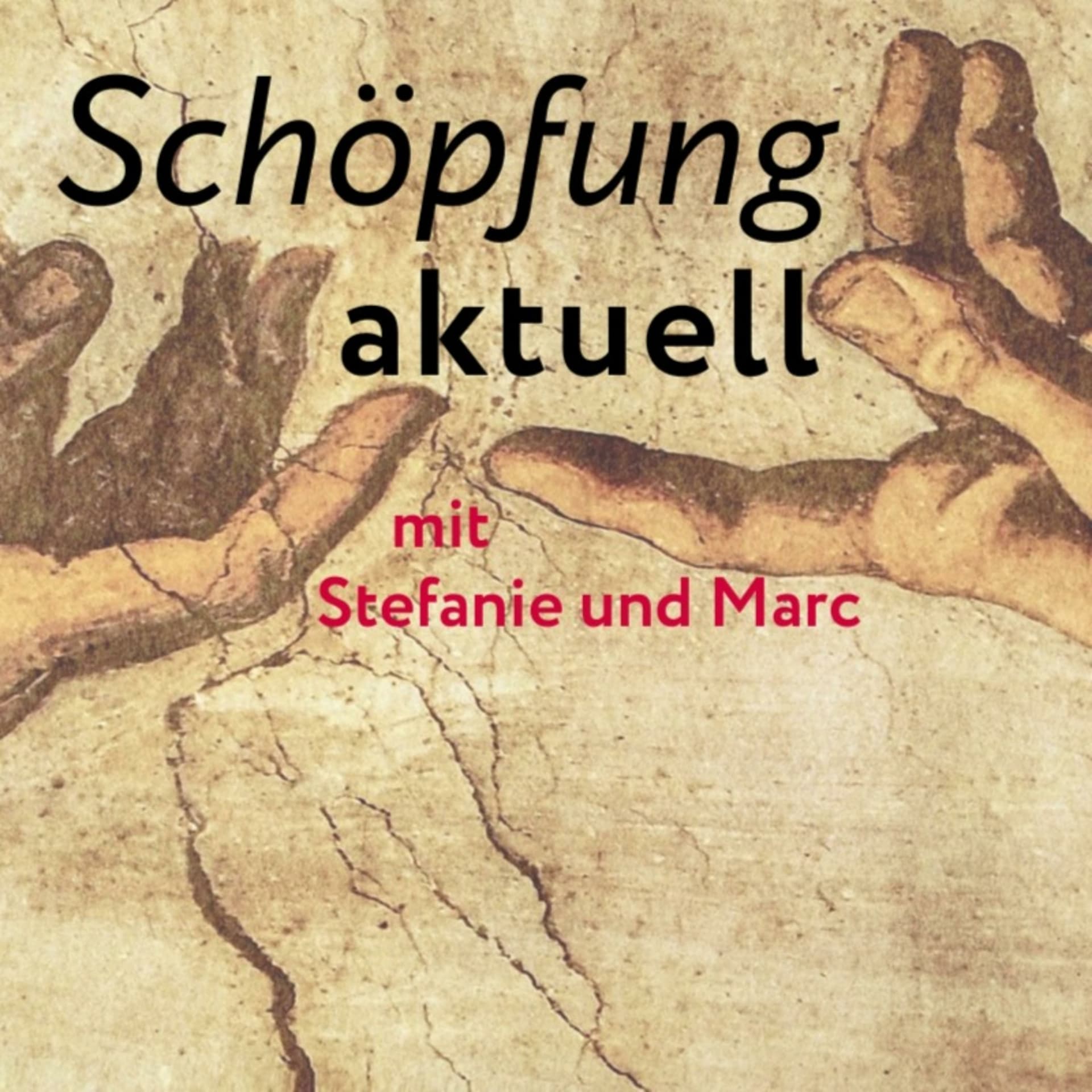 Schöpfung aktuell mit Stefanie und Marc - Podcasts