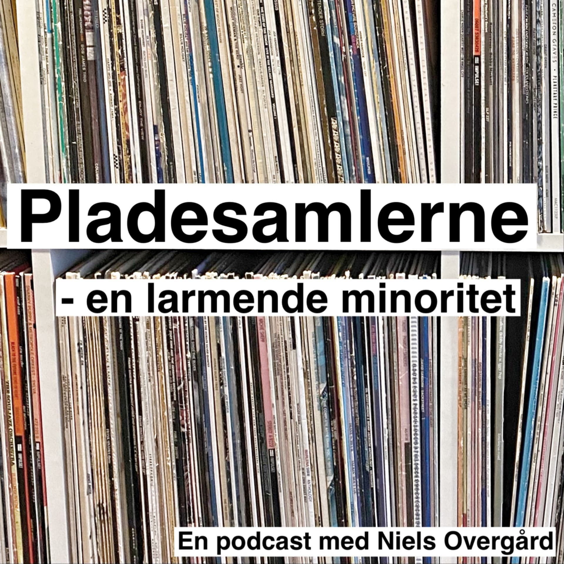 Pladesamlerne - en larmende minoritet - Podcasts
