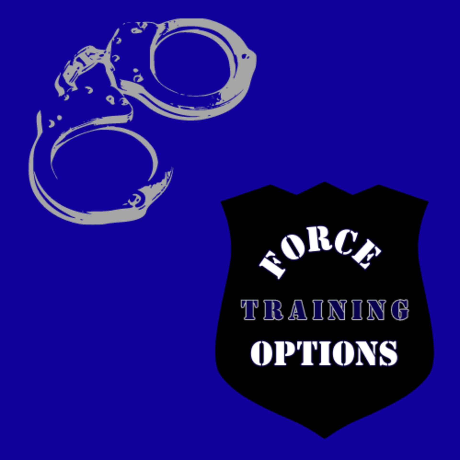 FORCE OPTIONS TRAINING
