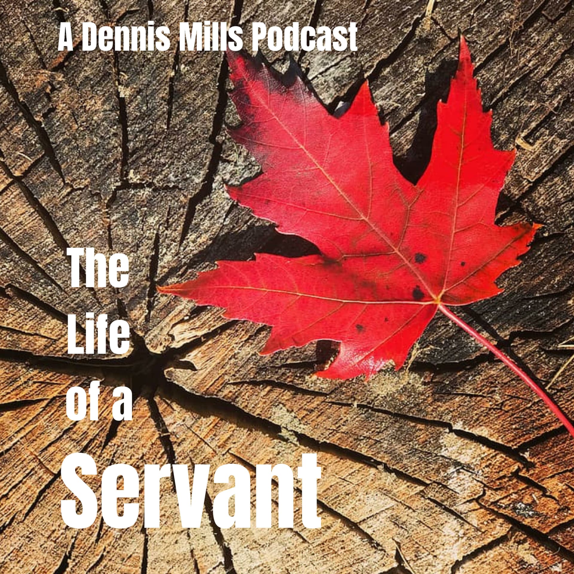 The Life of a Servant - Podcasts