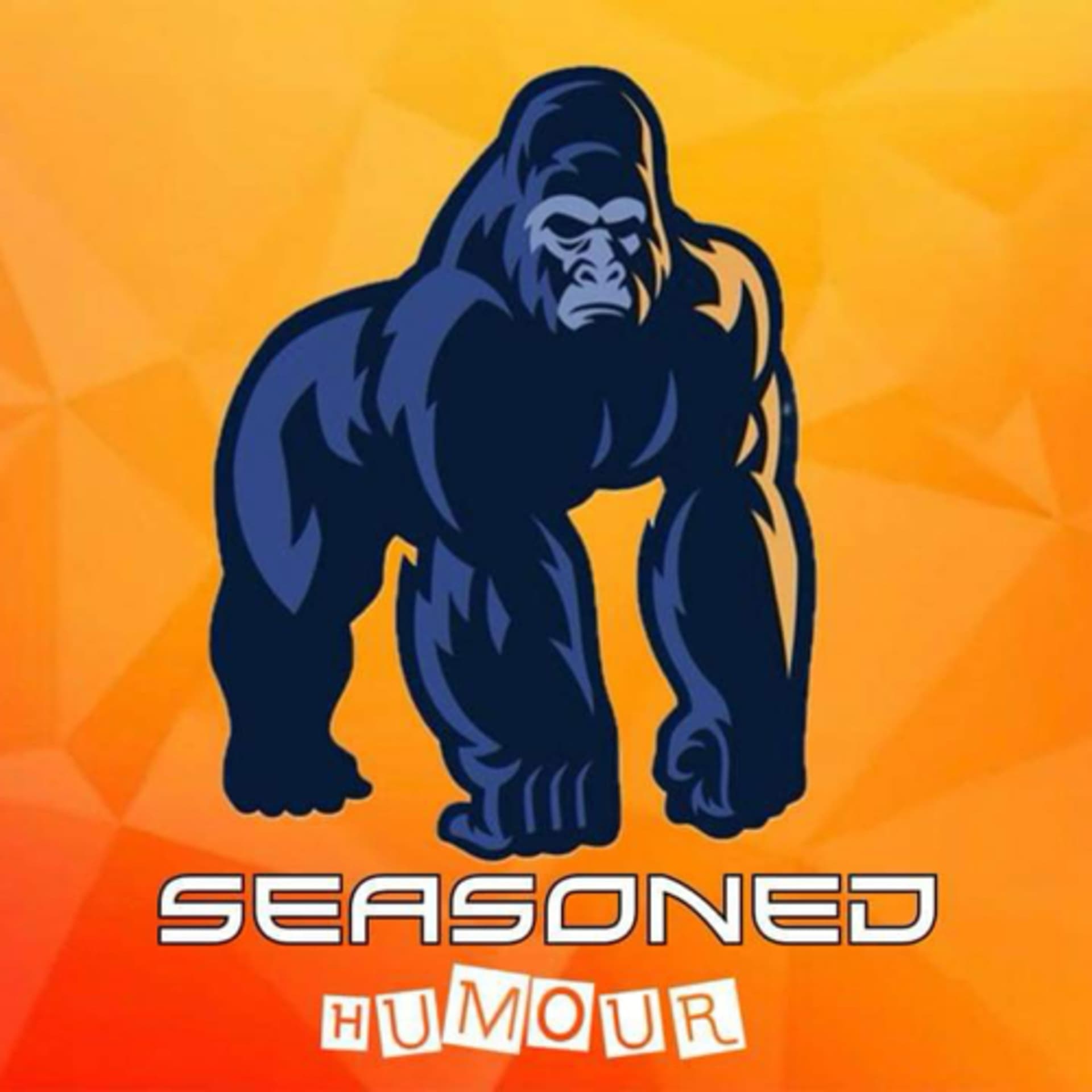 Seasoned Humour - Podcasts