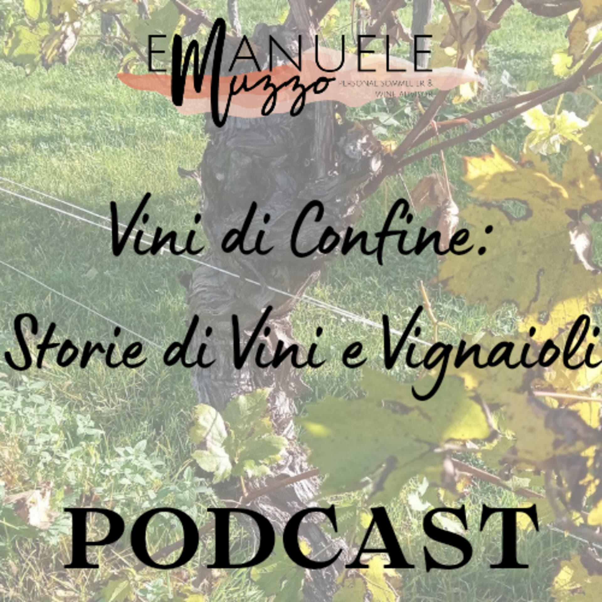 Vini Di Confine: Storie Di Vini e Vignaioli - Podcasts