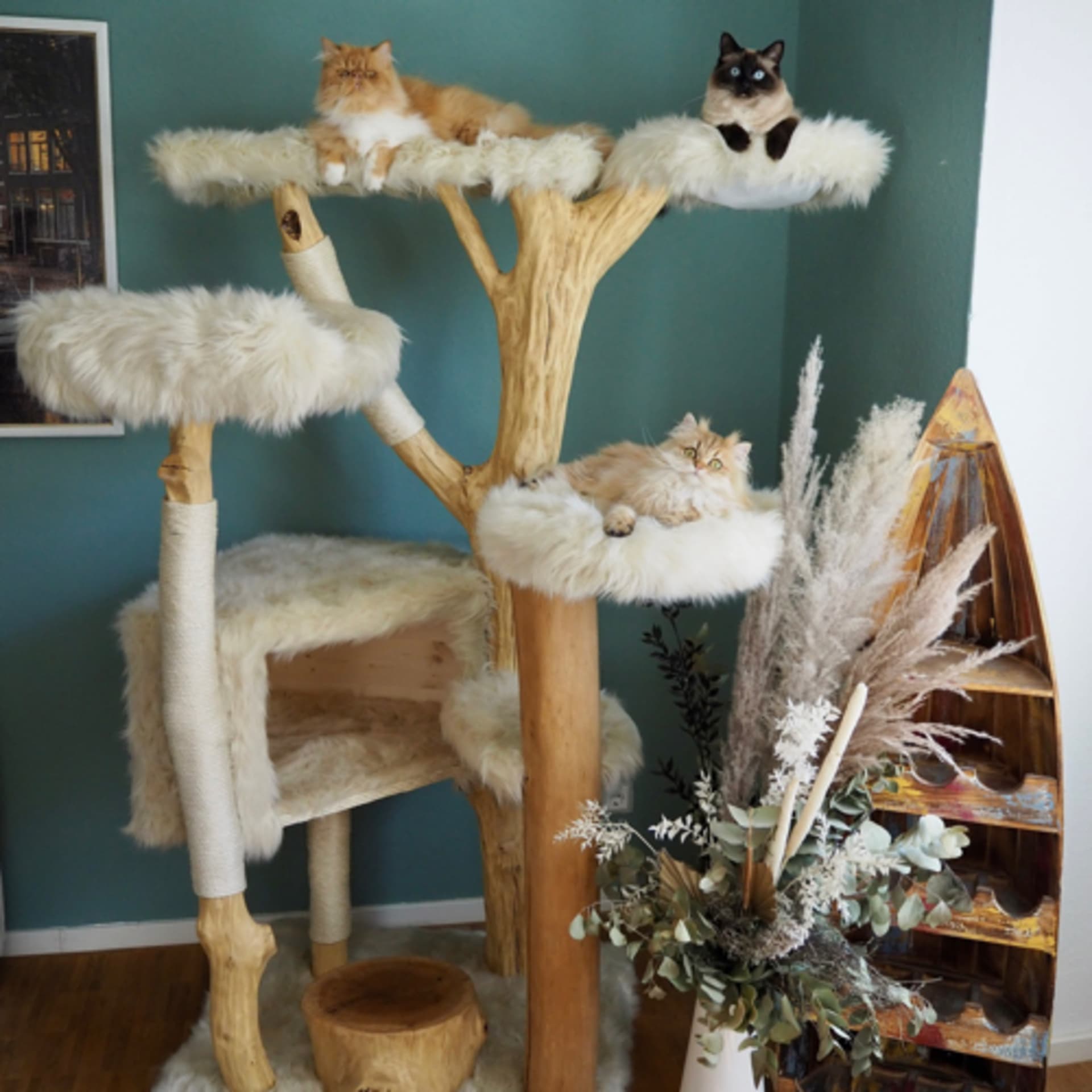 Aus dem Katzenzimmer🐱 - Podcasts