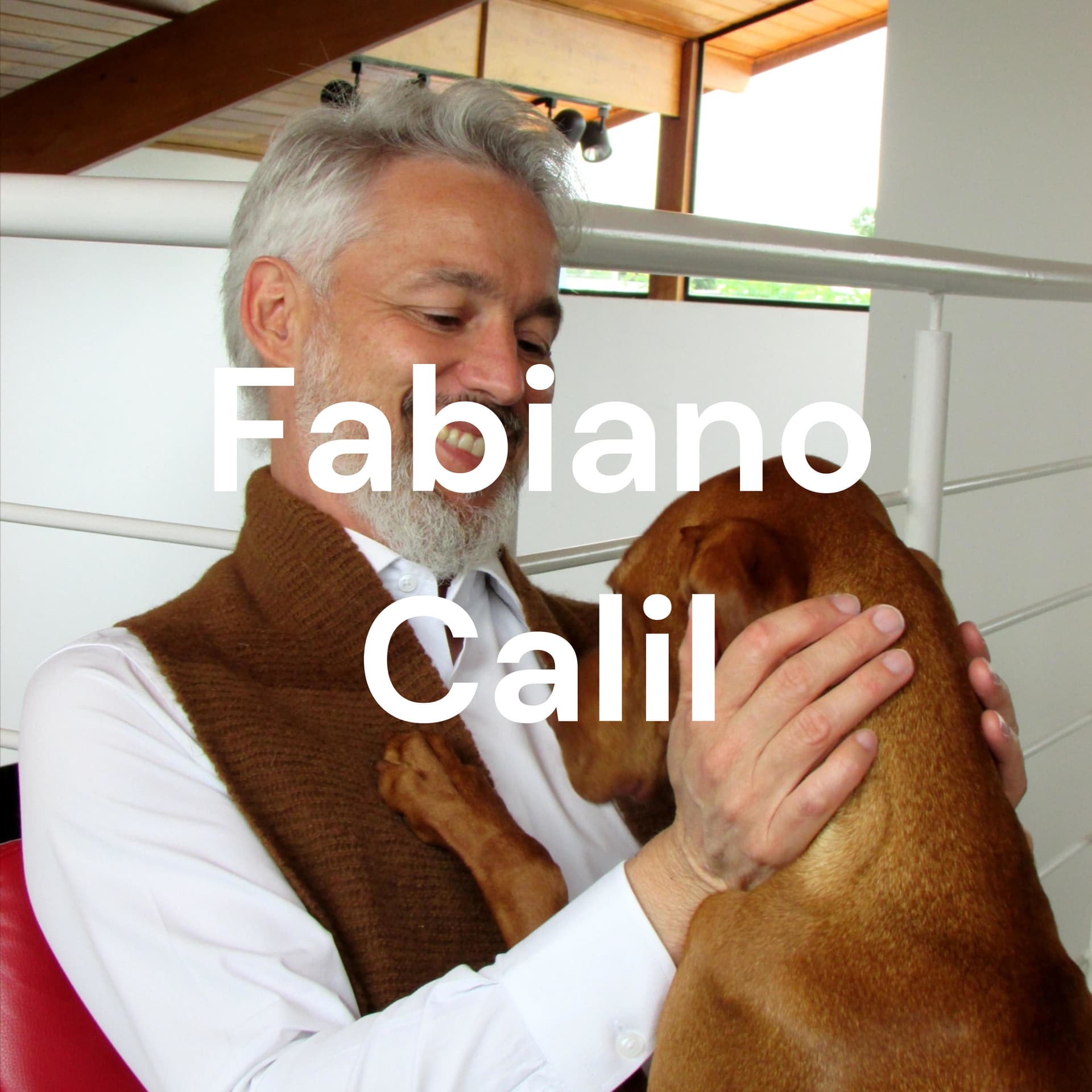 Fabiano Calil - Podcasts