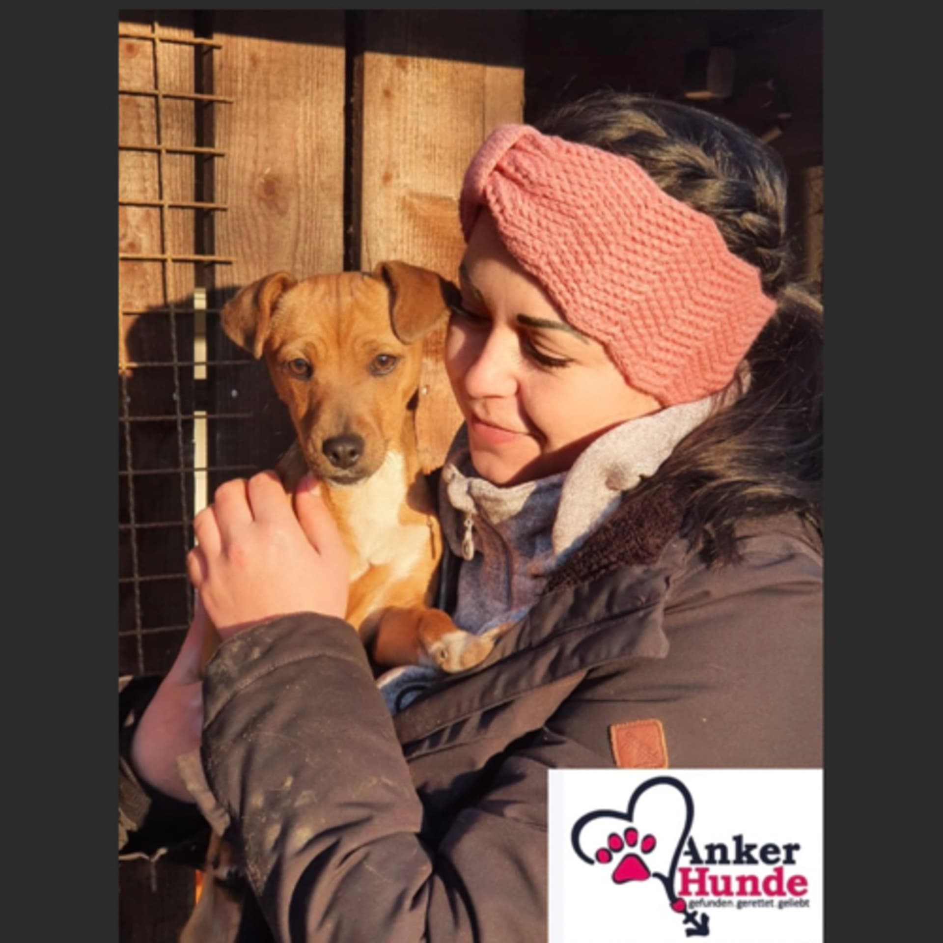 🐶 Der Ankerhunde Podcast 🐶 - Podcasts