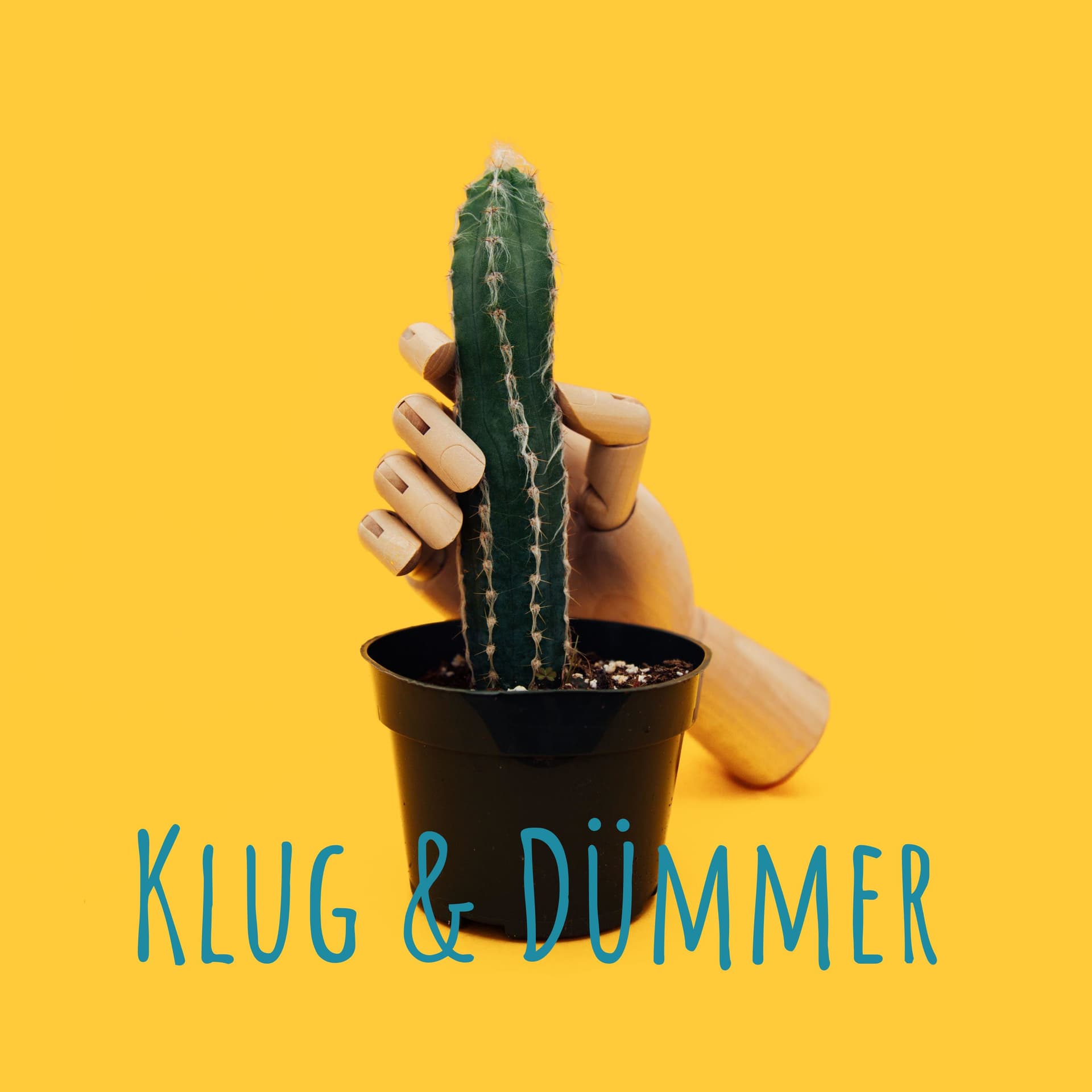 Klug & Dümmer - Podcasts