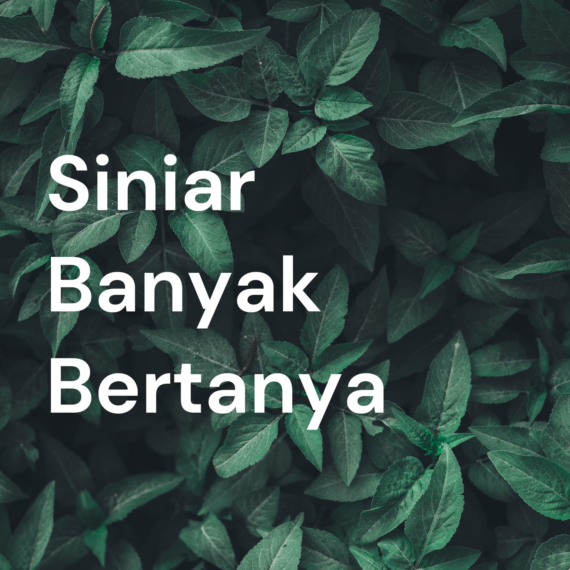 Siniar Banyak Bertanya - Podcasts