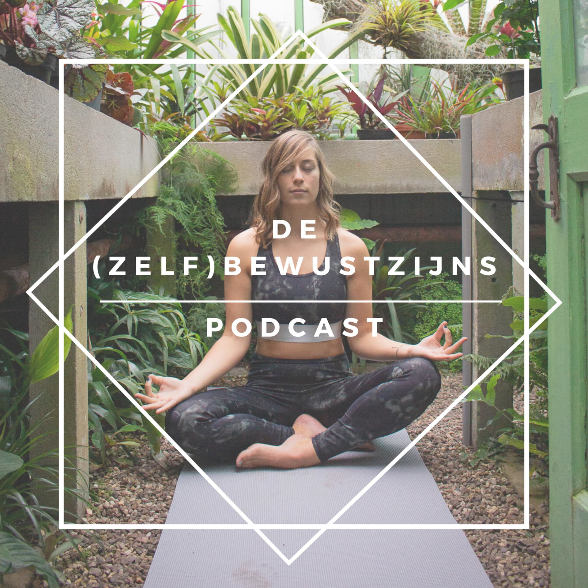 De (Zelf)Bewustzijns Podcast - Podcasts