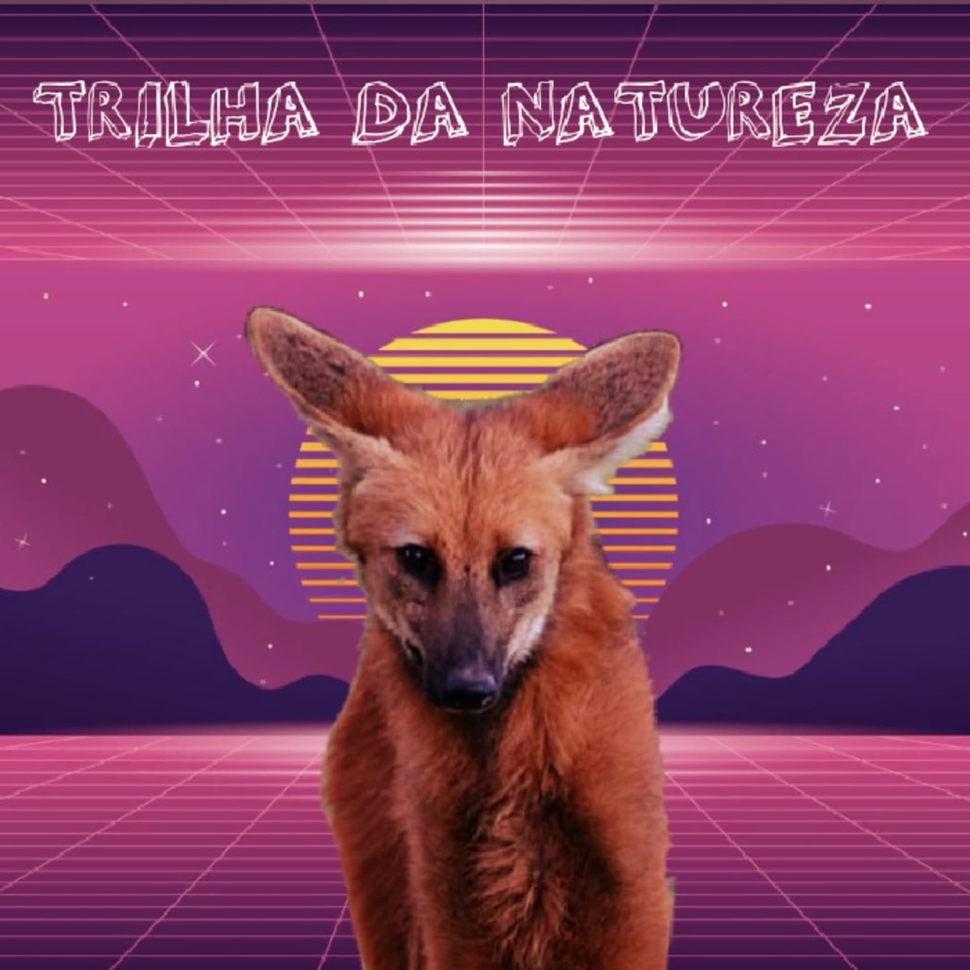Trilha Da Natureza - Podcasts