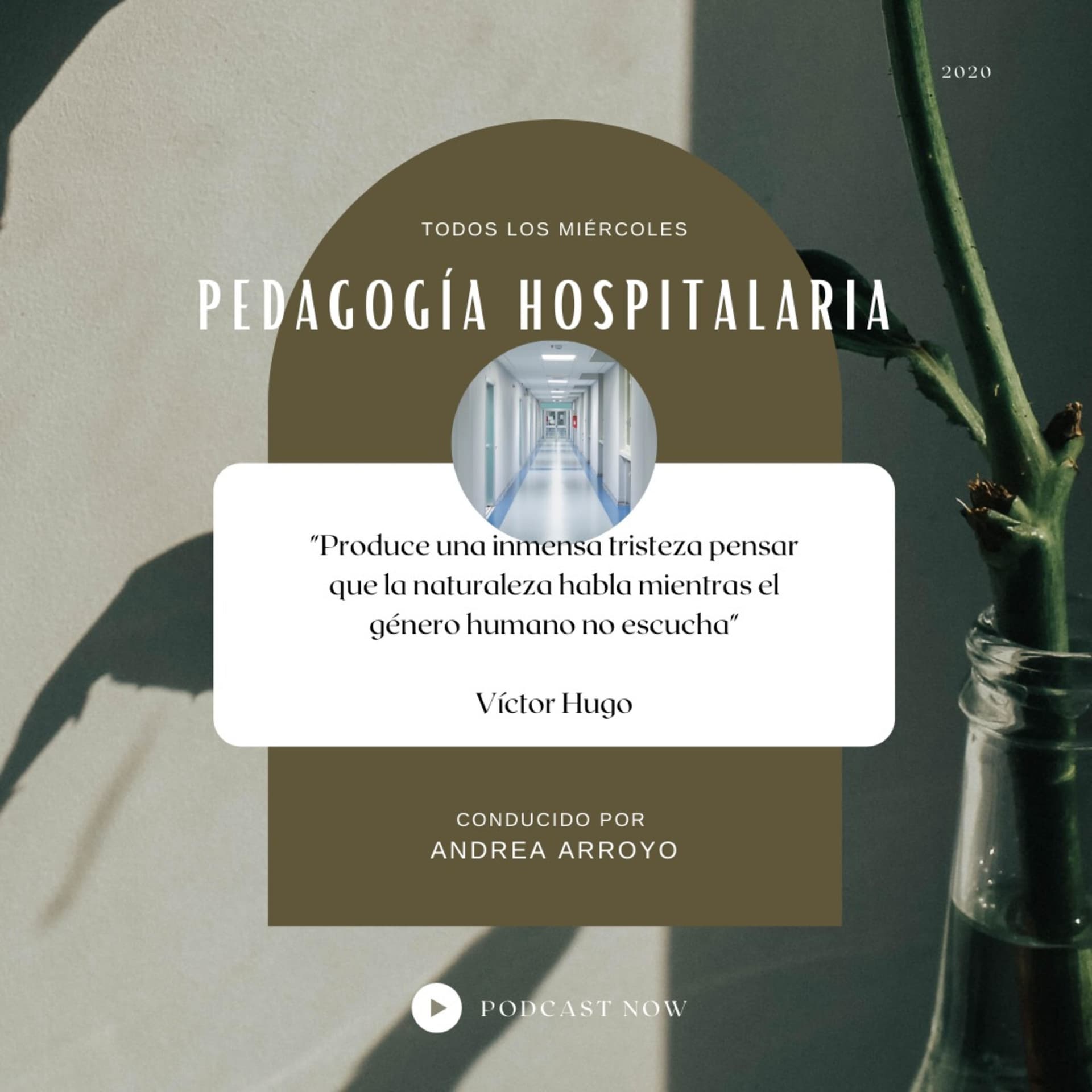 ¿De qué hablamos cuando hablamos de Pedagogía Hospitalaria? - Podcasts
