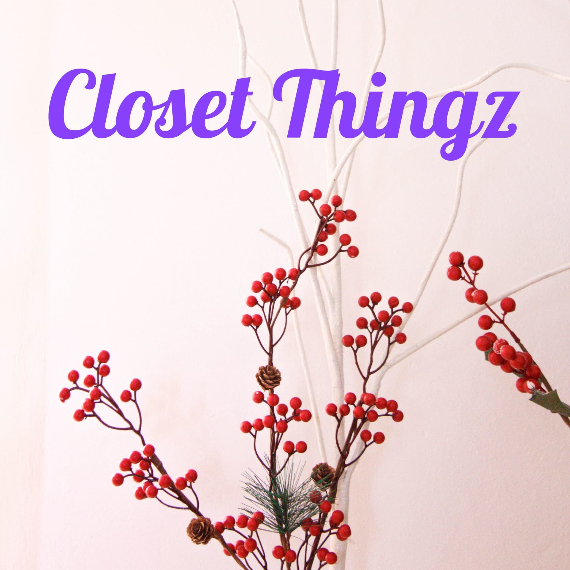 Closet Thingz - Podcasts