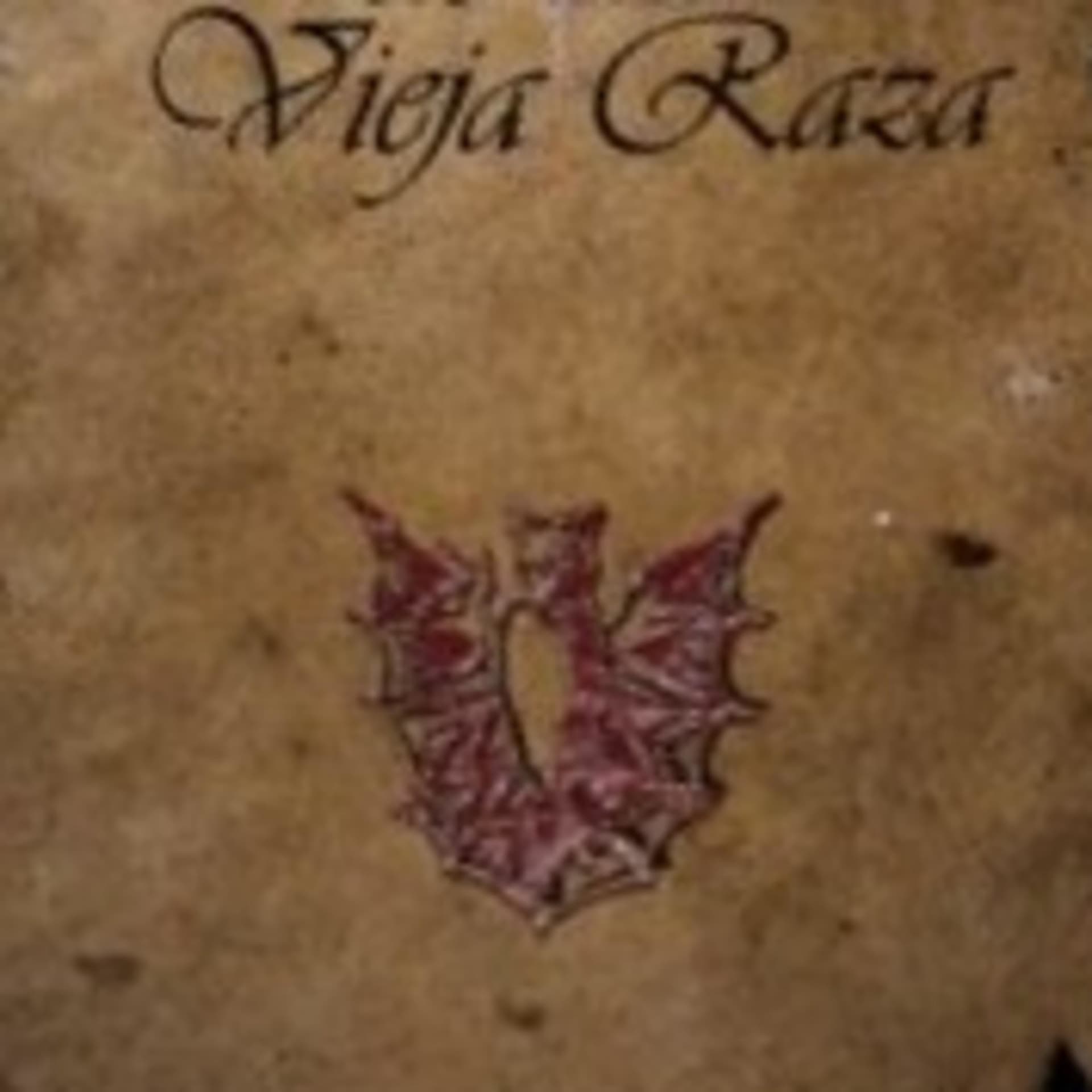 La Vieja Raza - Podcasts