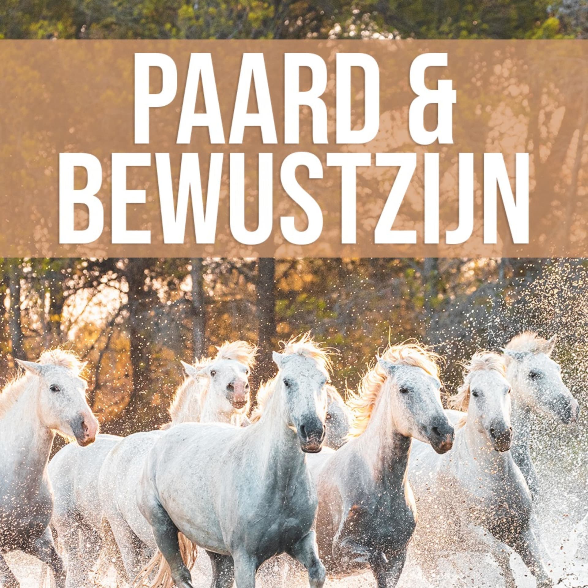 Paard & Bewustzijn - Podcasts