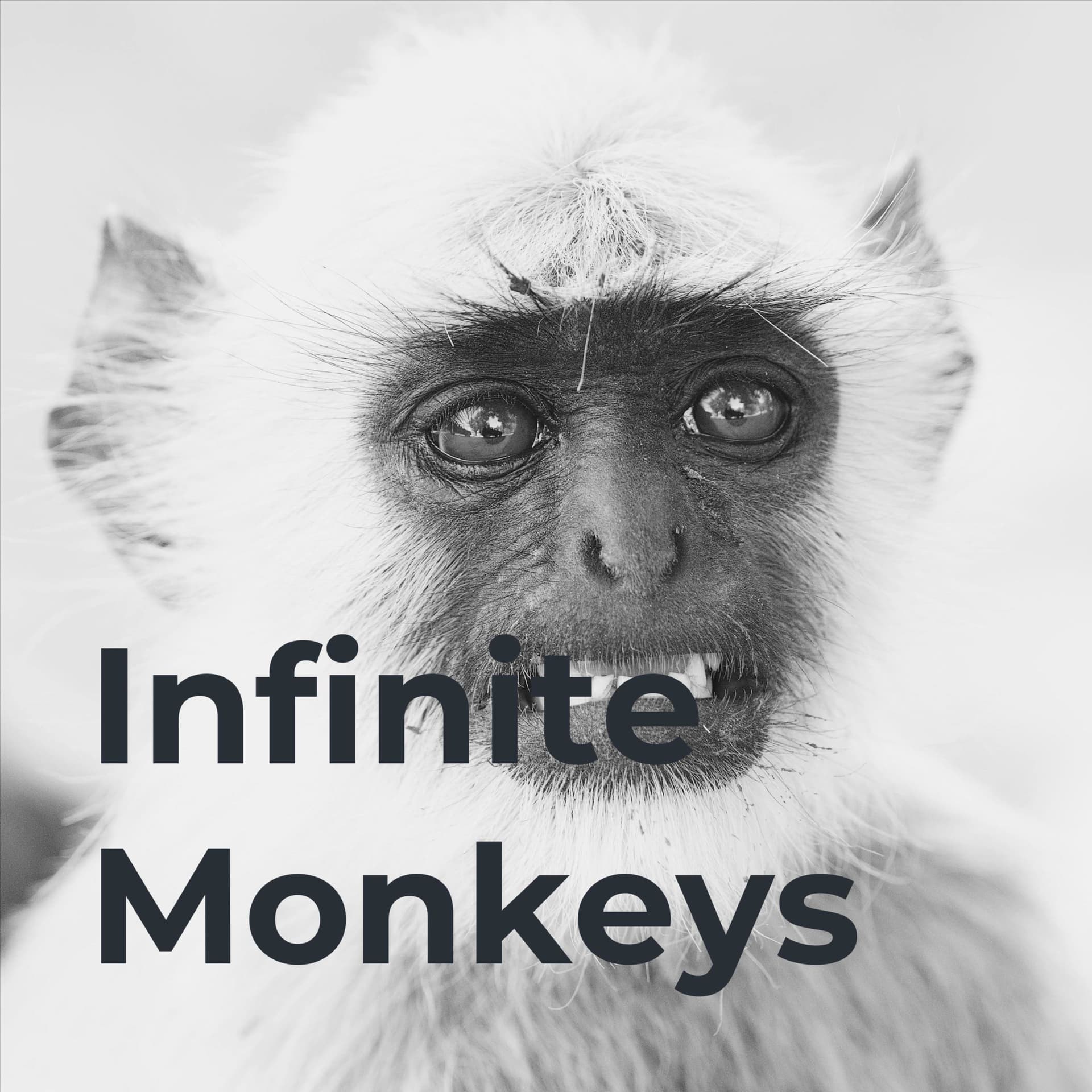 Infinite Monkeys - Podcasts