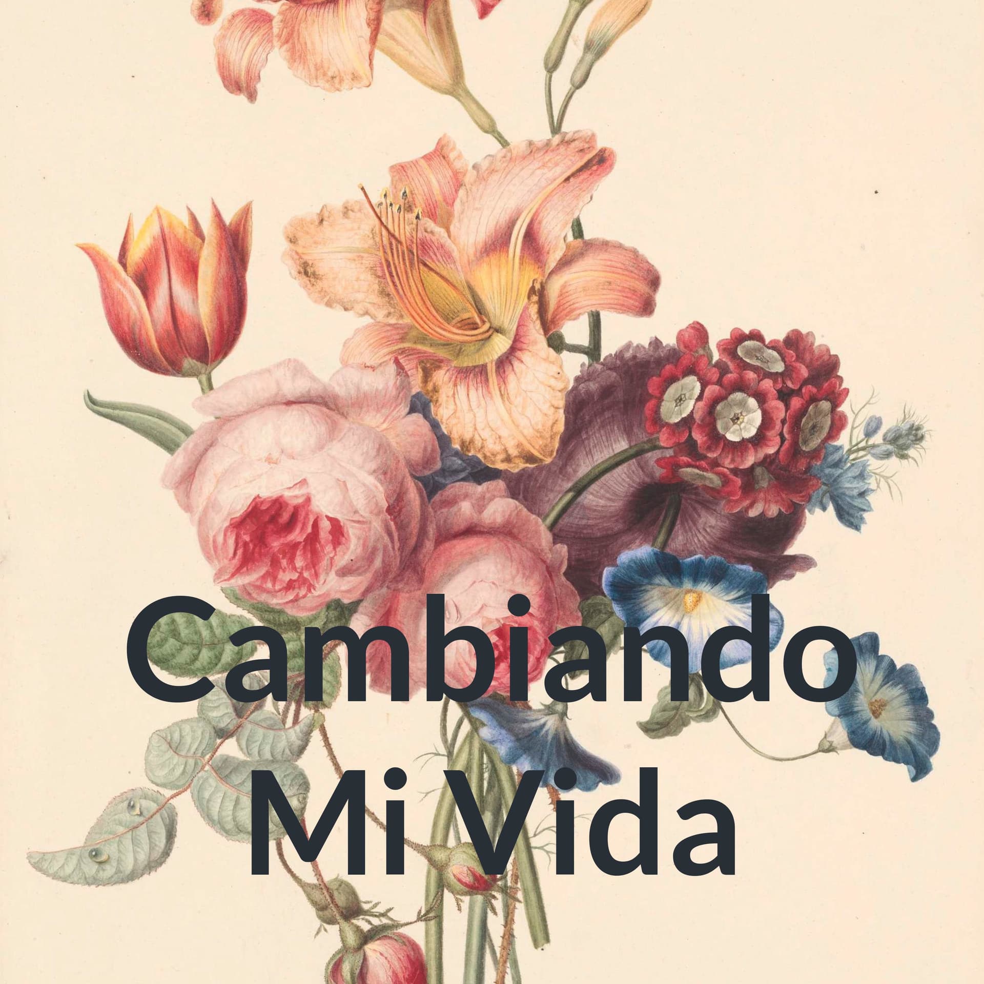 Cambiando Mi Vida - Podcasts