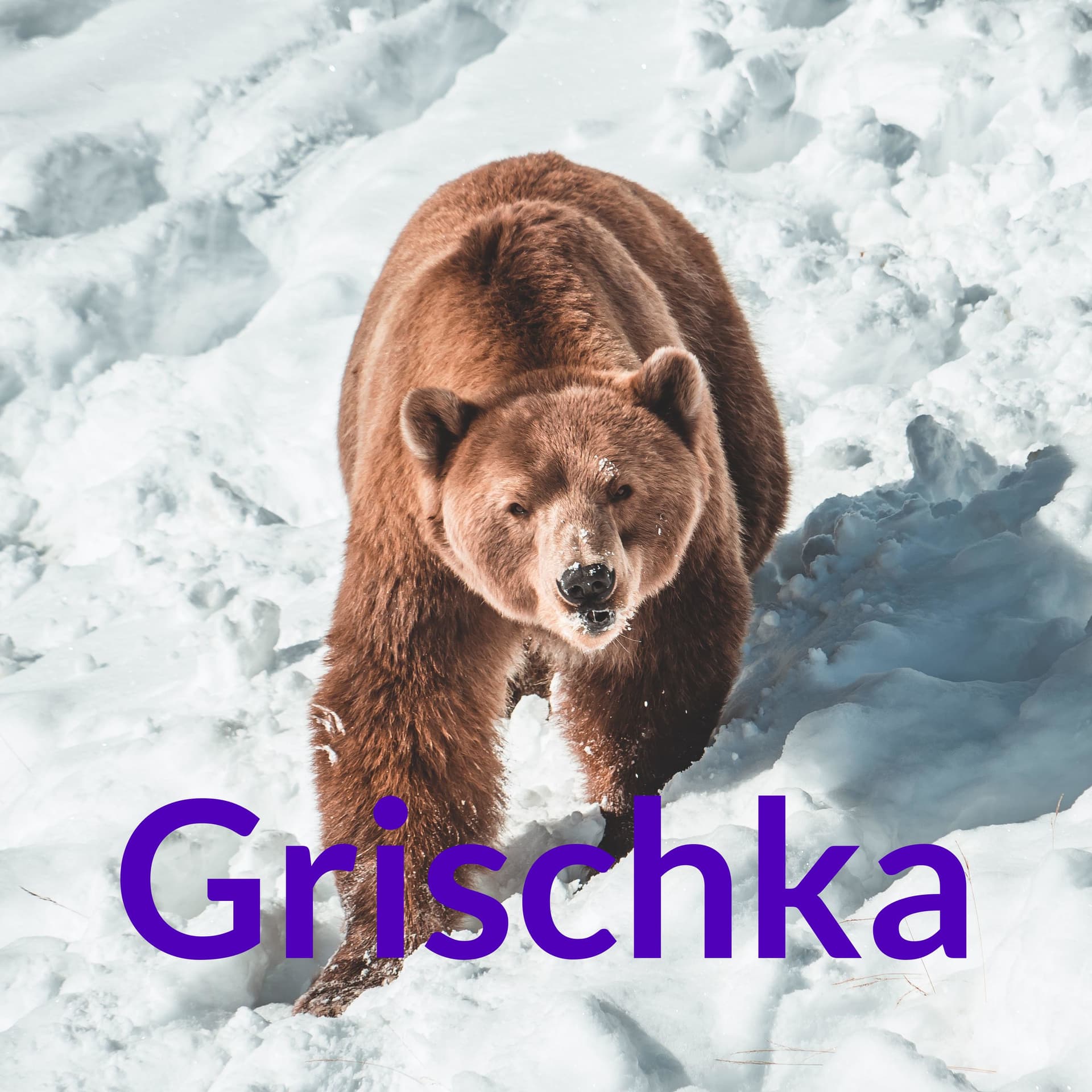 Grischka - Podcasts