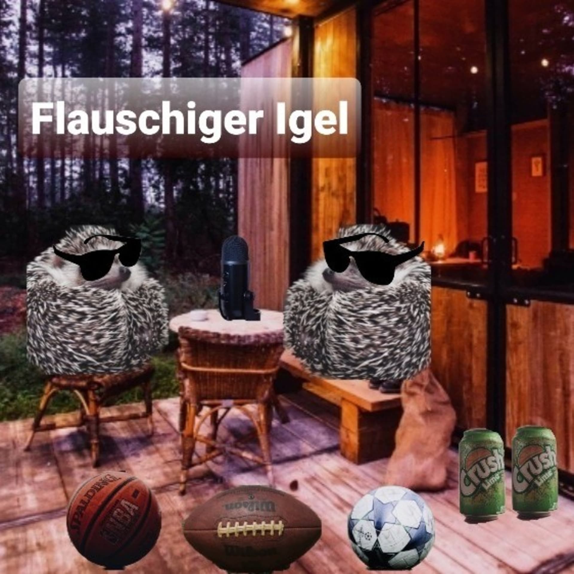Flauschiger Igel - Podcasts
