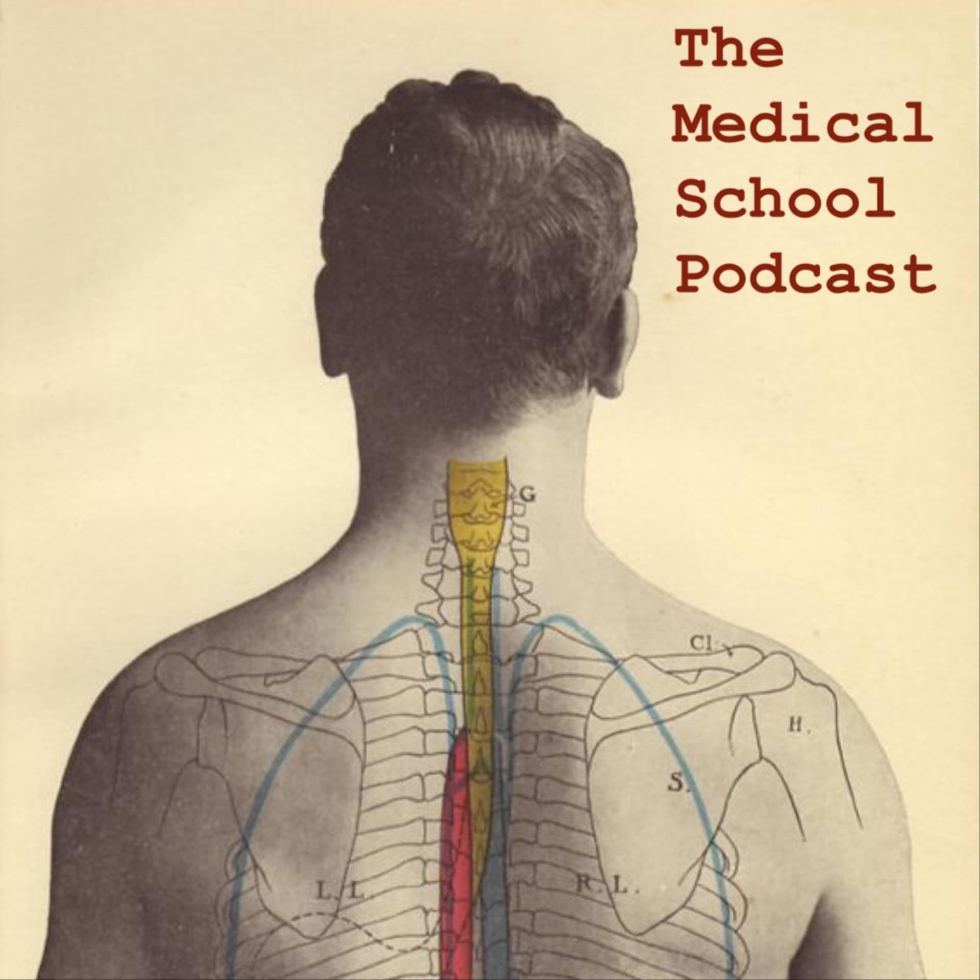 The Medical School Podcast - Podcasts