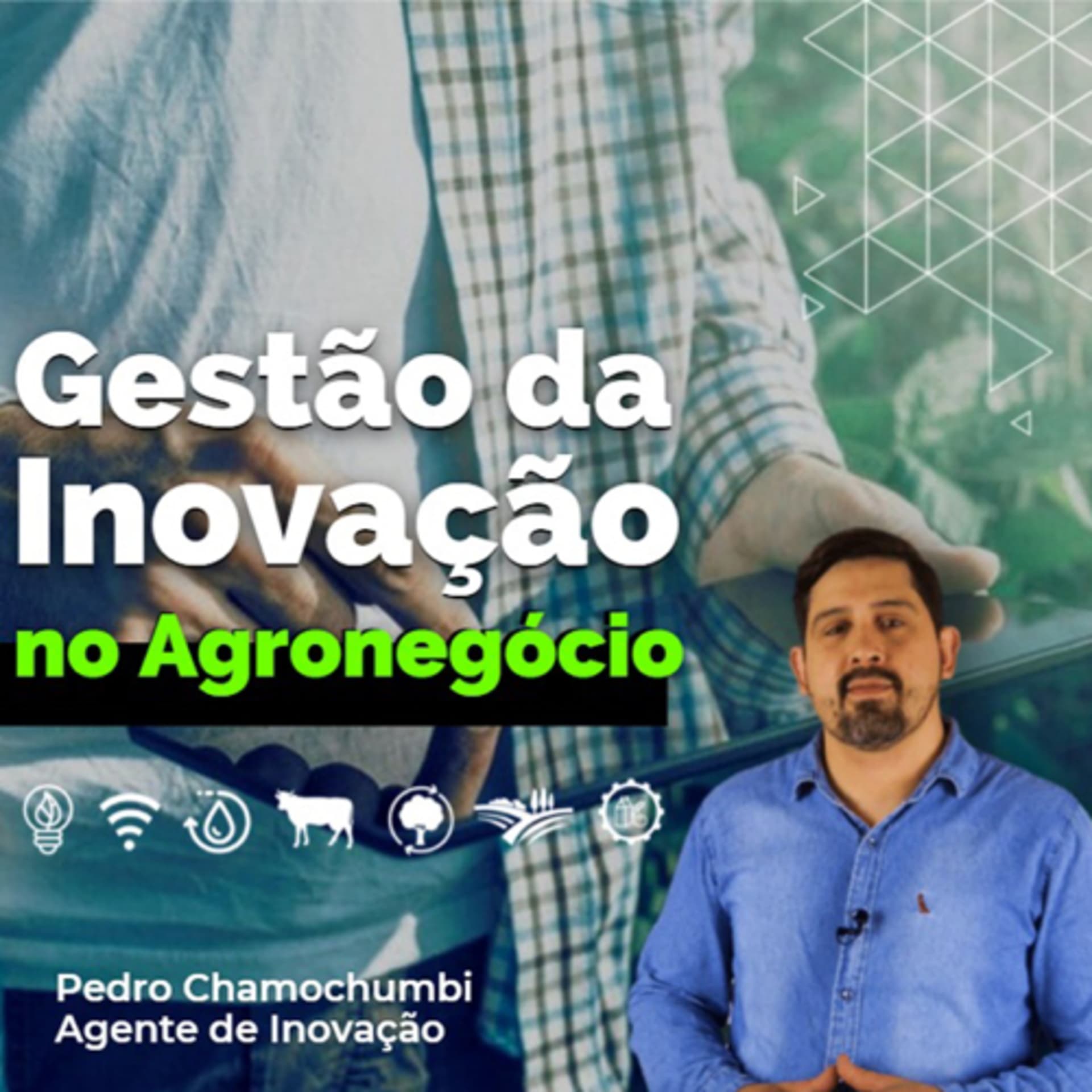 Gestão da Inovação com Pedro Chamochumbi - Podcasts