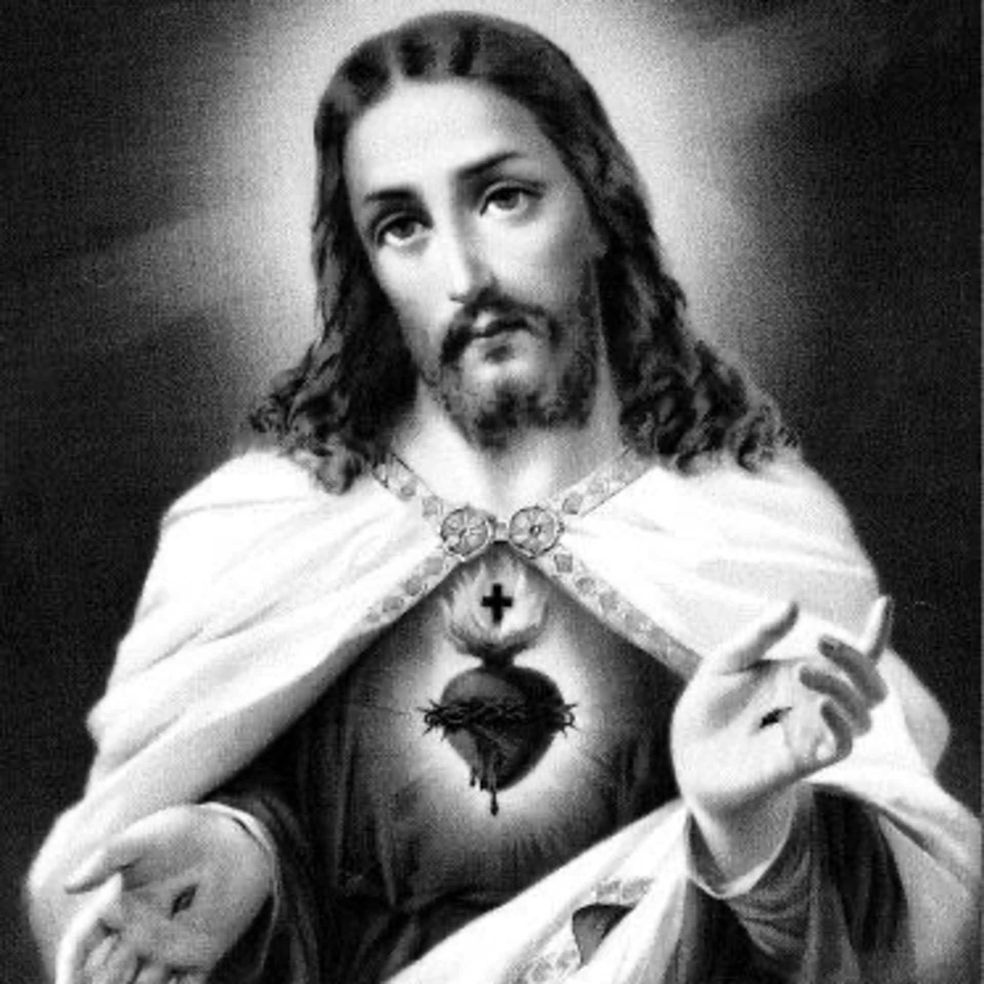 Lectura Diaria del Santo Evangelio y su Meditación - Podcasts