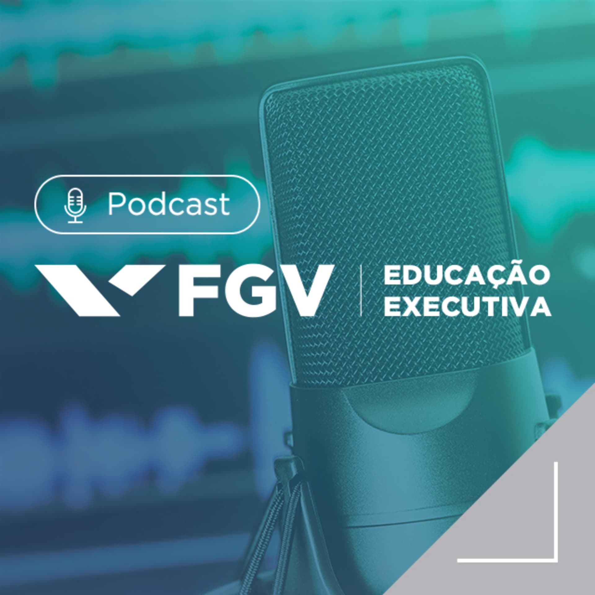 FGV Educação Executiva - Podcasts