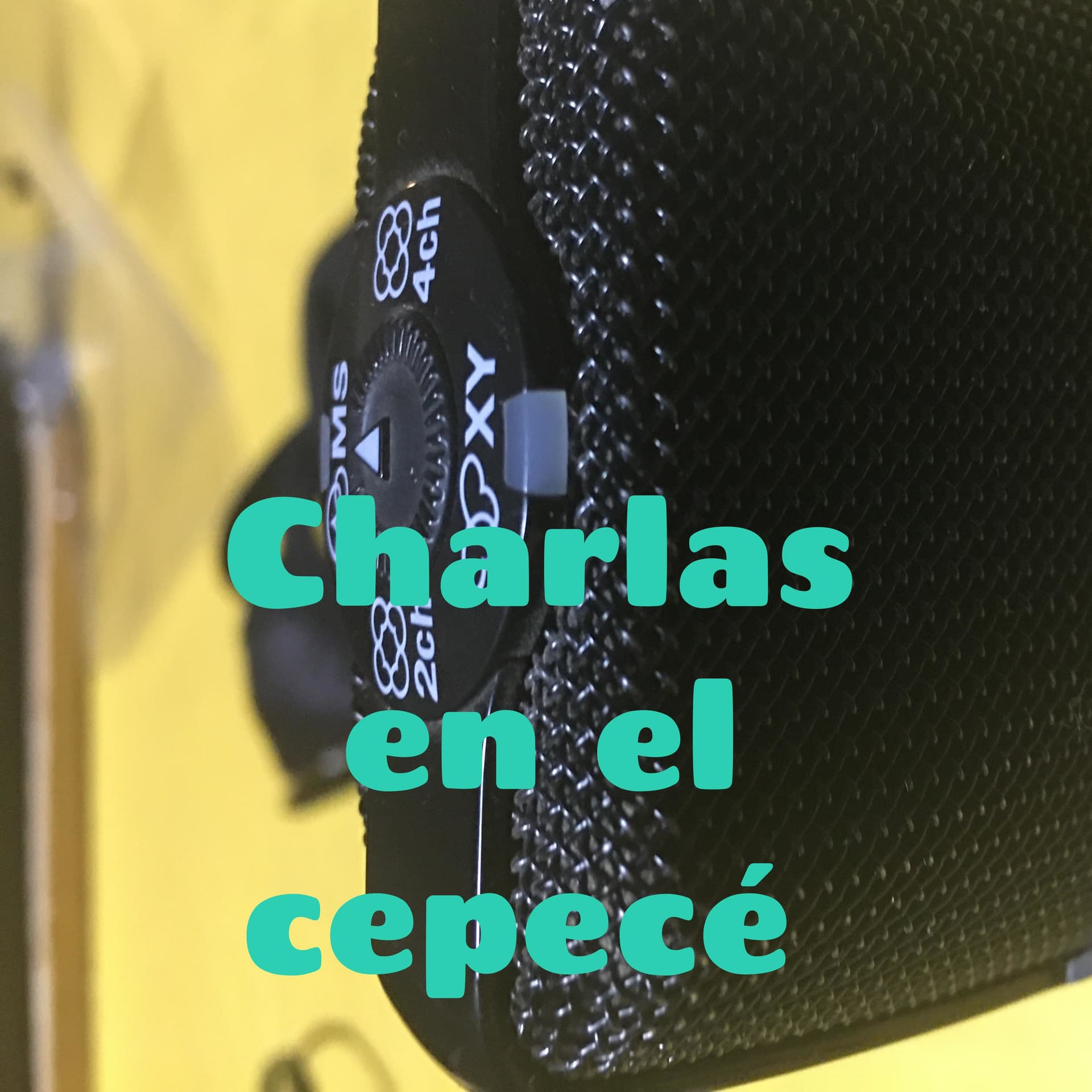 Charlas con artistas admirados - Podcasts