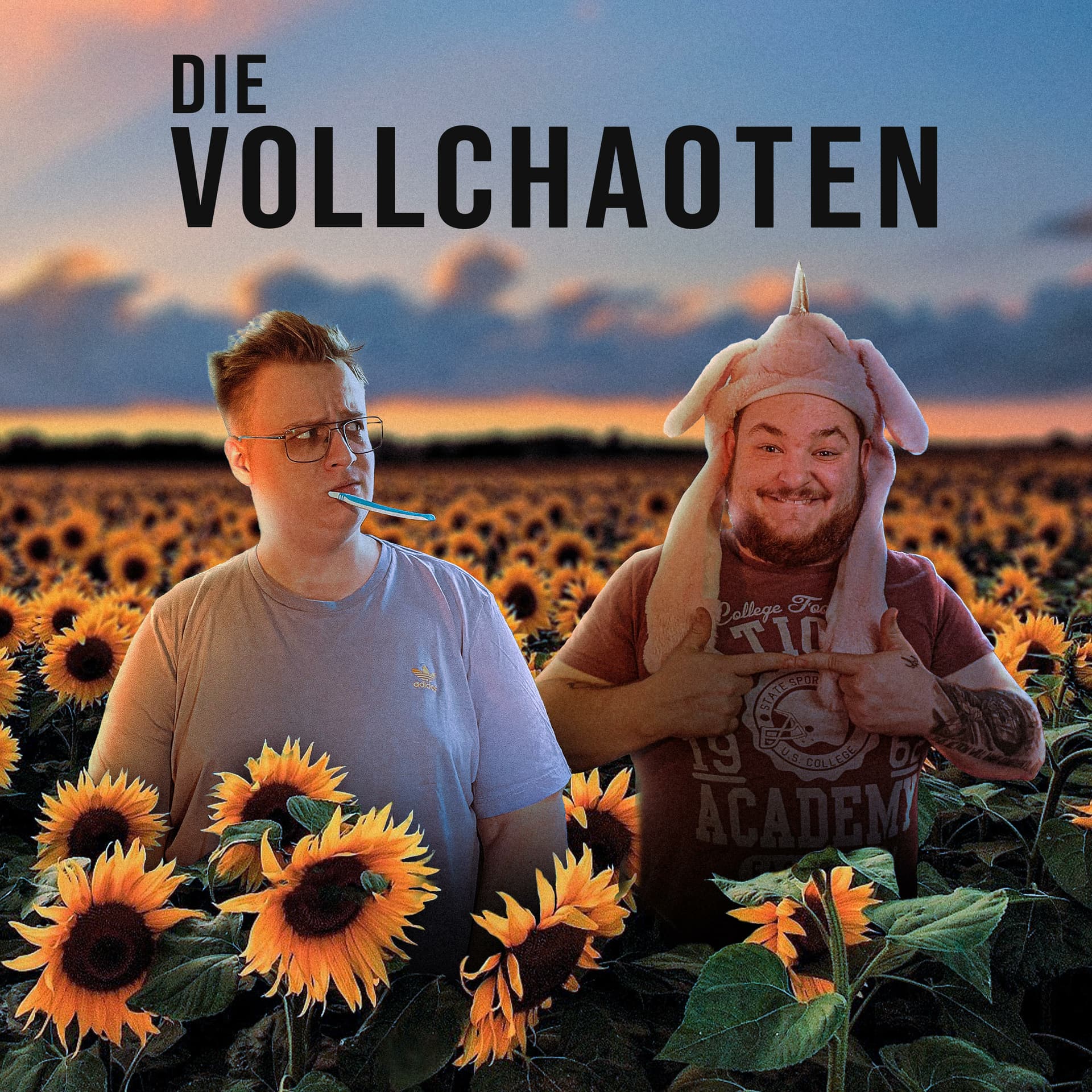 Die VollChaoten - Podcasts