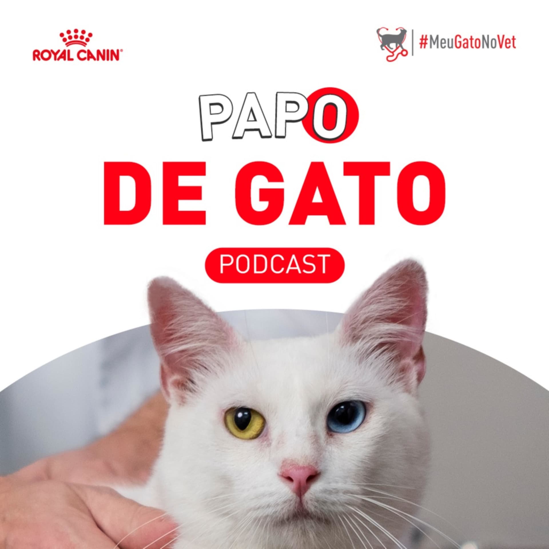 Papo de Gato - Podcasts