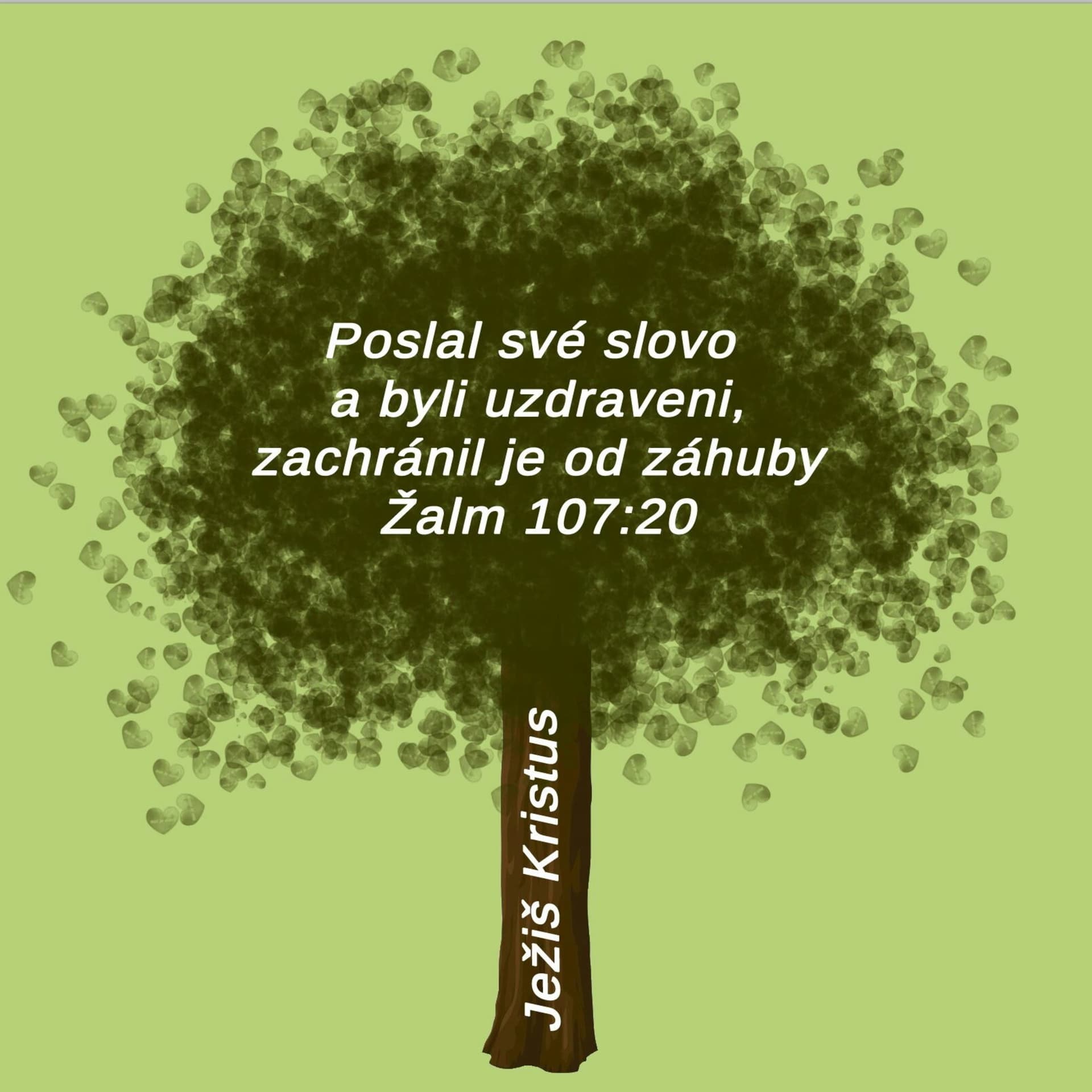 Denisa New *Boh je dobrý, nenechaj sa oklamať a okradnúť o najvzácnejší poklad = Božie kráľovstvo. - Podcasts