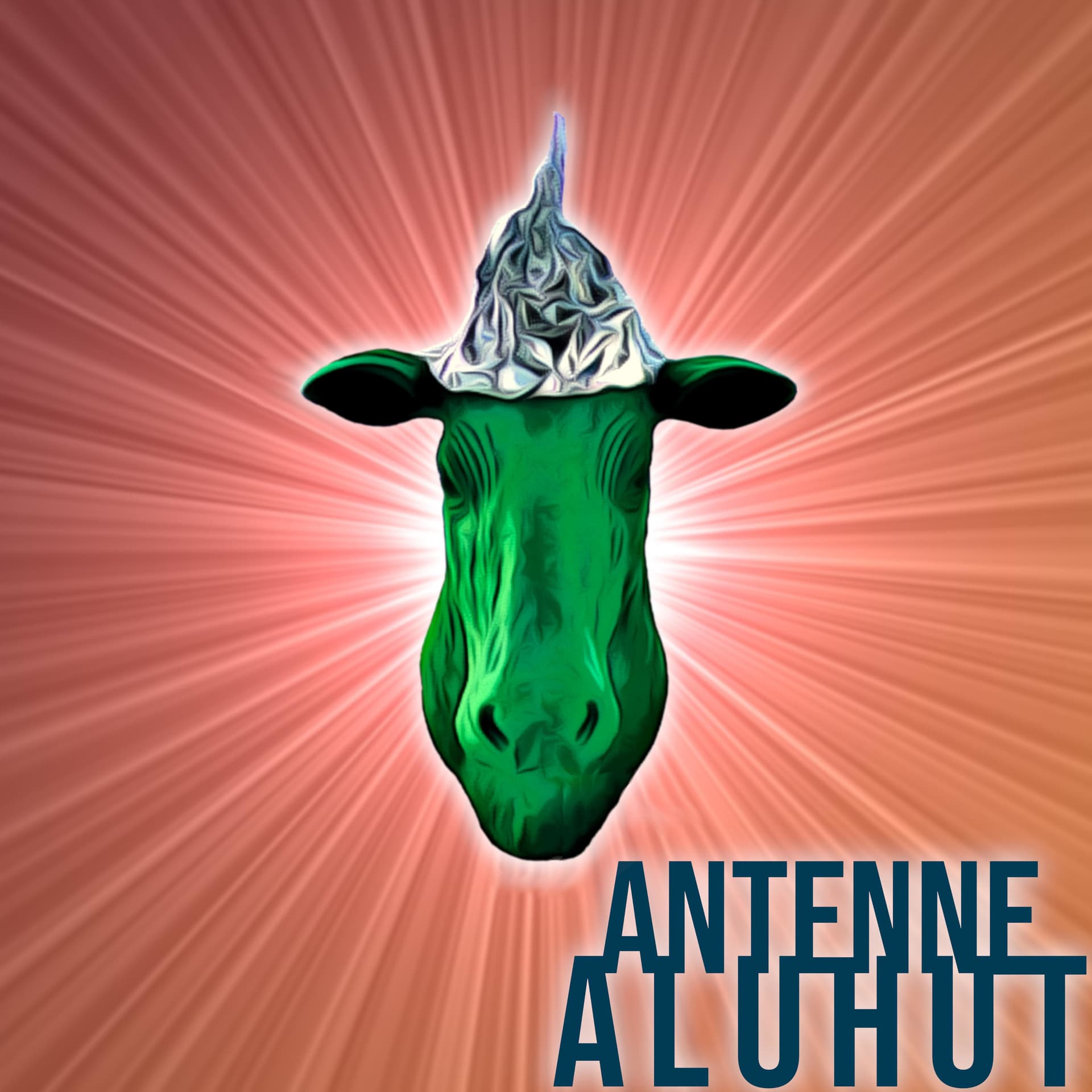 Antenne Aluhut - Podcasts