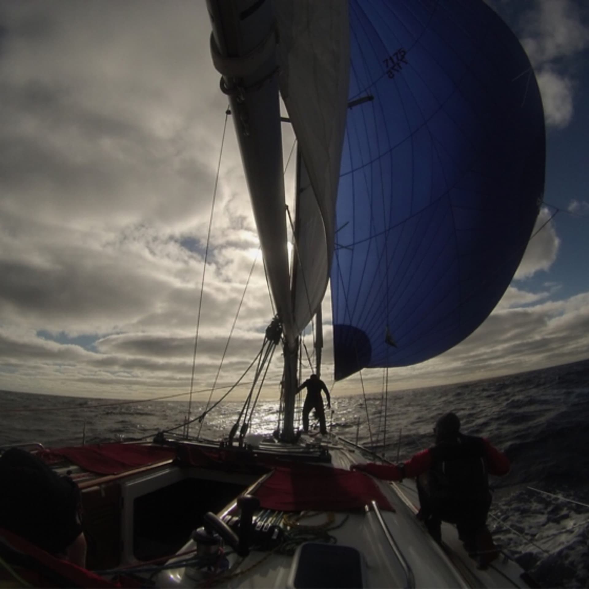 Offshore Sailing Today with COSS - Podcasts