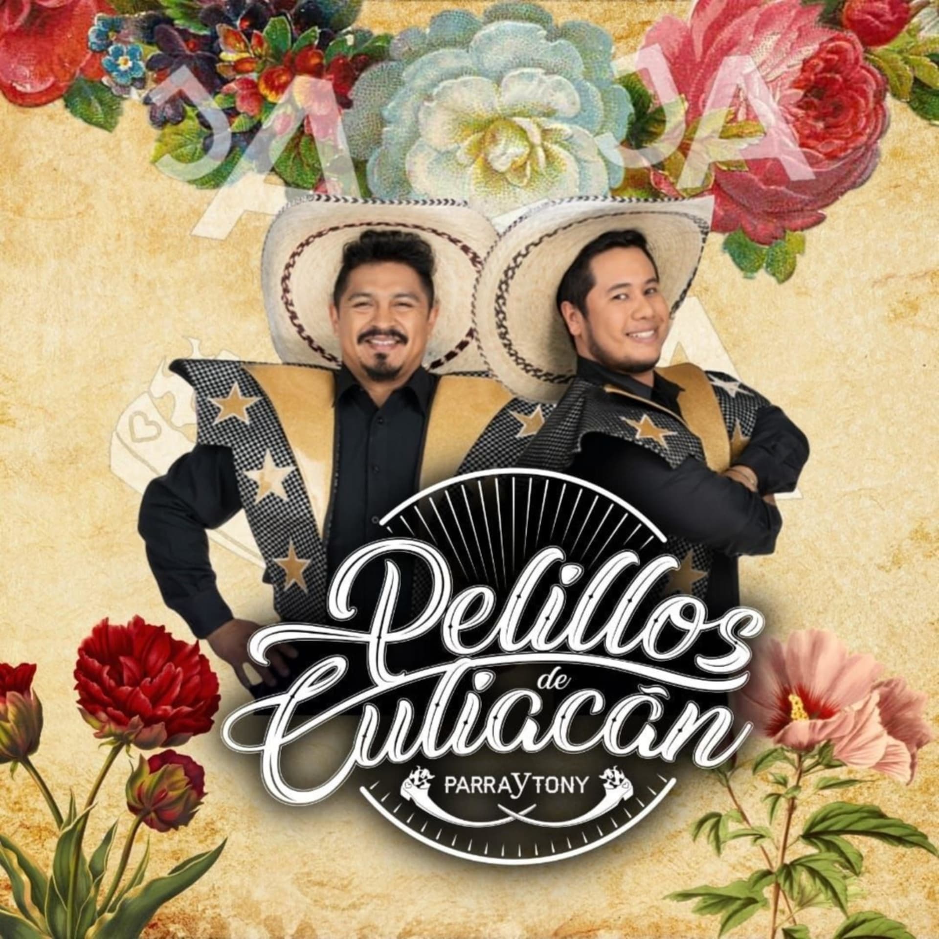 Con Pelillos en la lengua - Pelillos de Culiacan - Podcasts