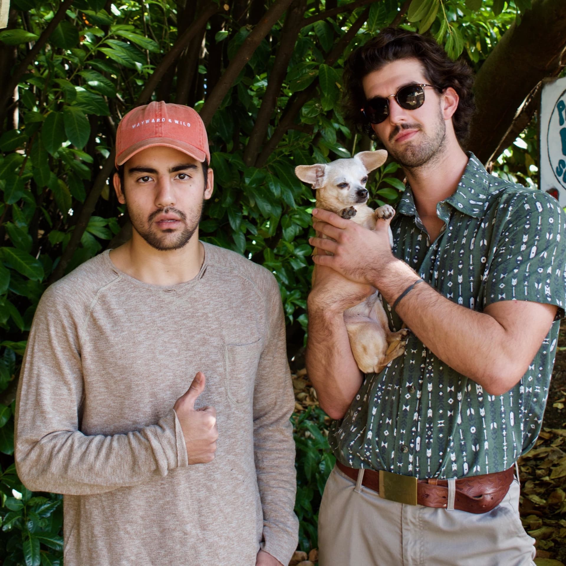 Two Guys, One Lapdog - Podcasts
