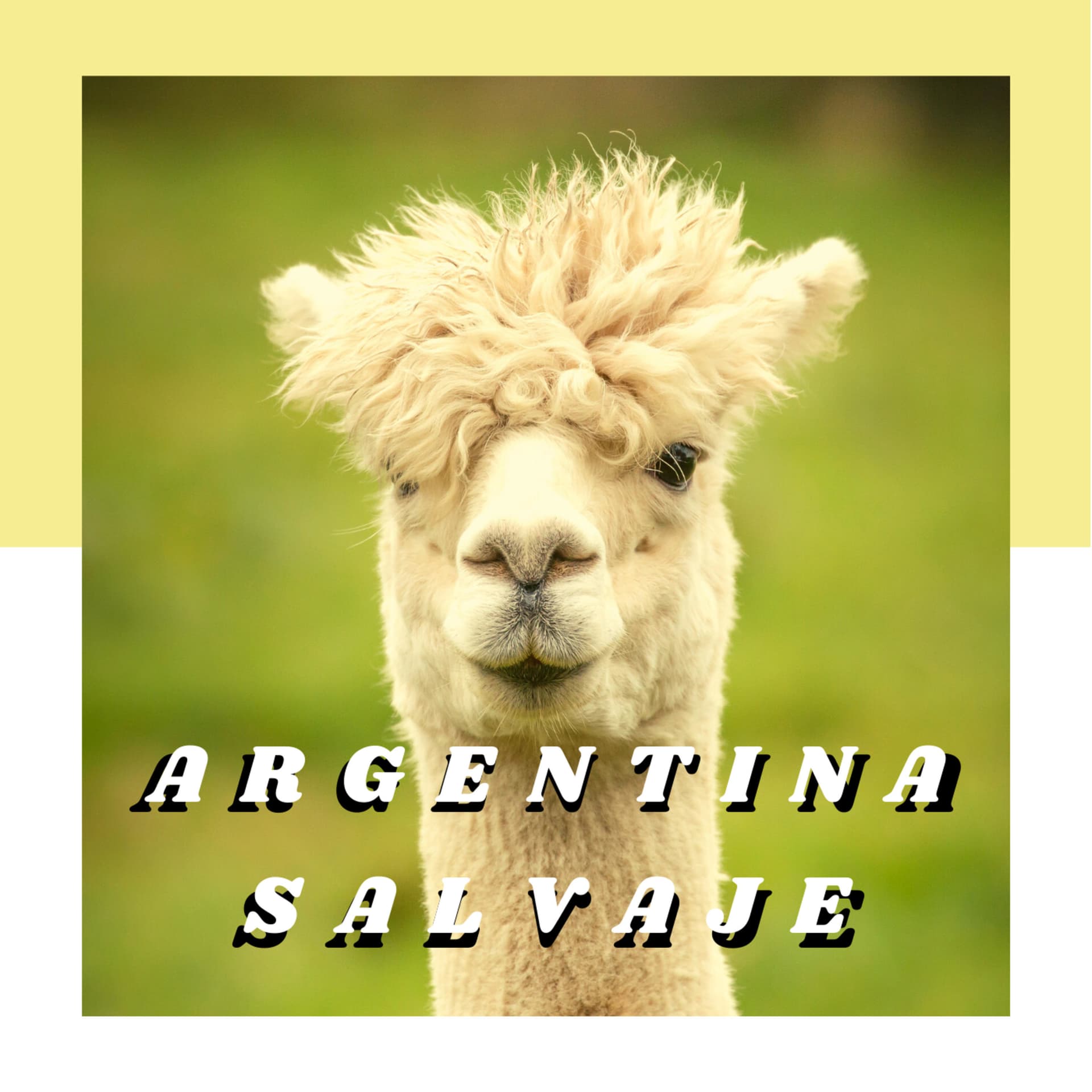 Argentina Salvaje - Podcasts