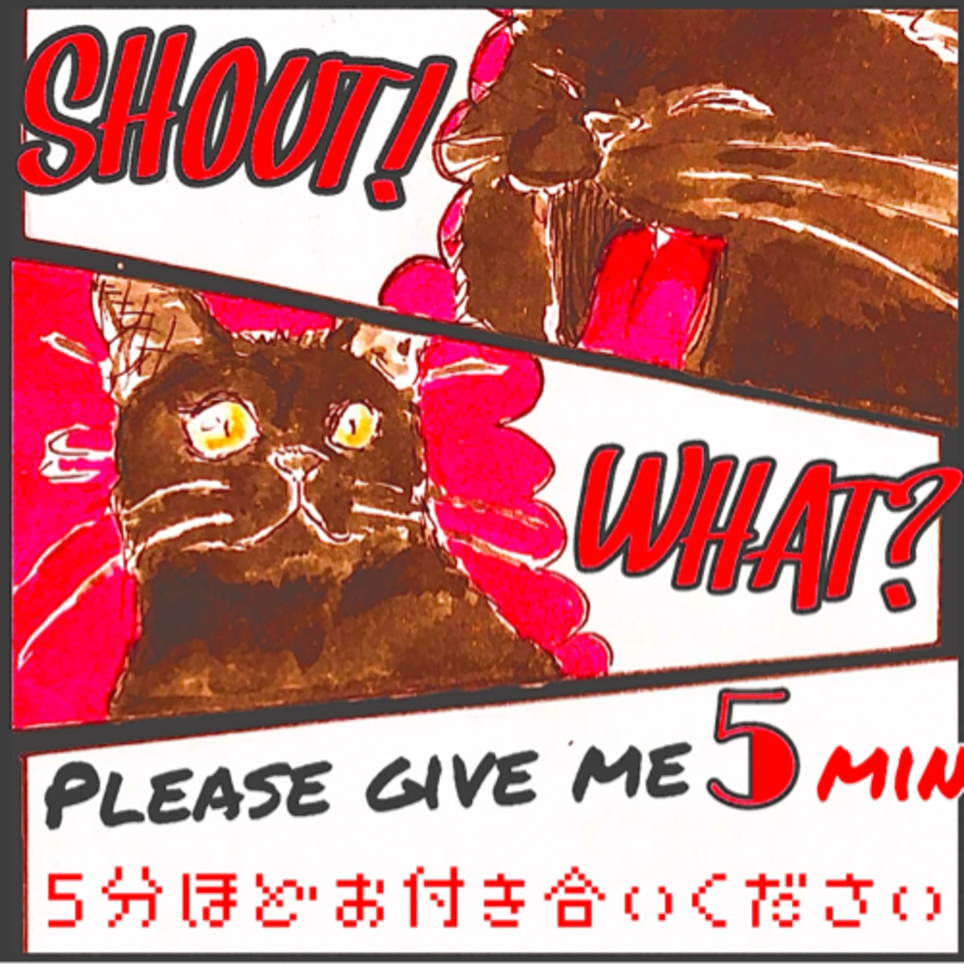 5分ほどお付き合い下さい