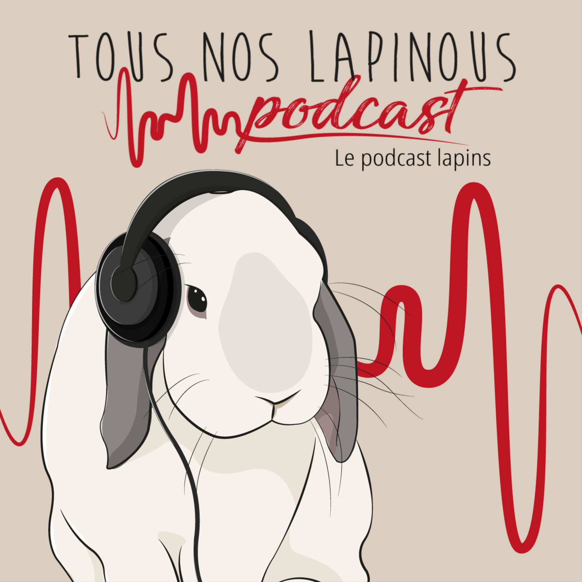 Tous Nos Lapinous - Podcasts