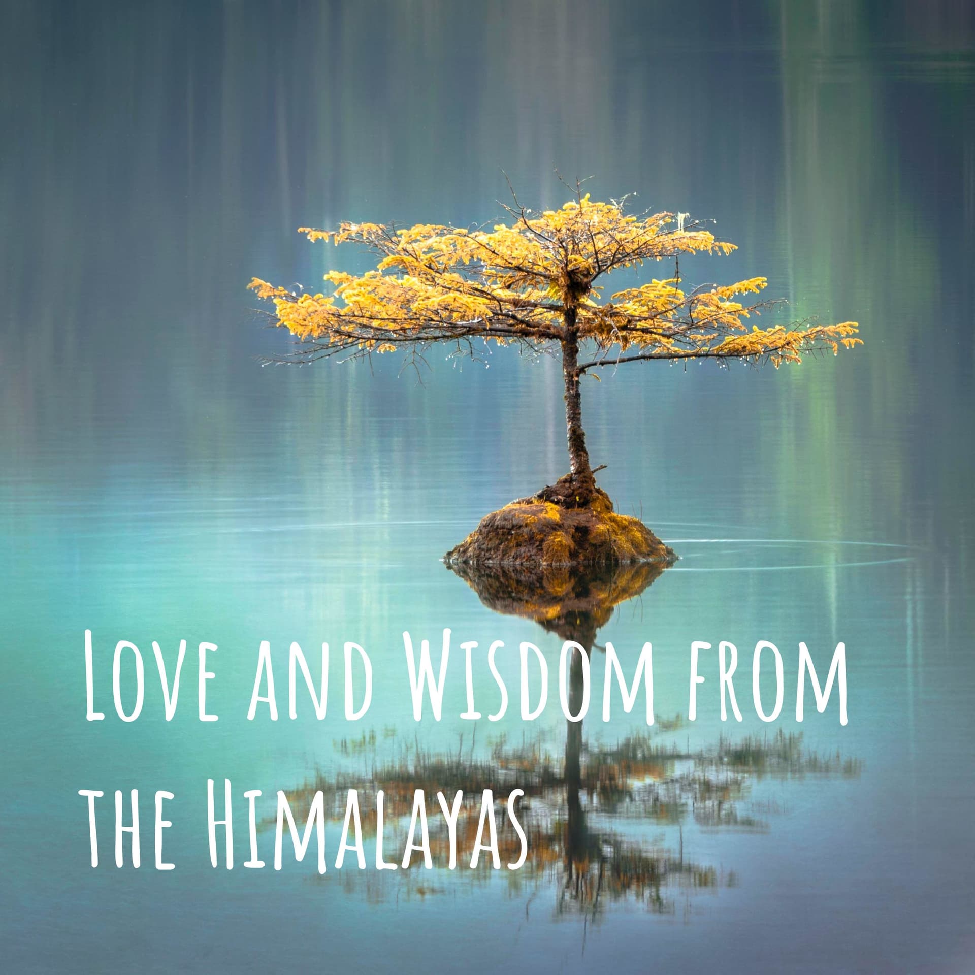 大師智慧 Love and Wisdom from the Himalayas - Podcasts
