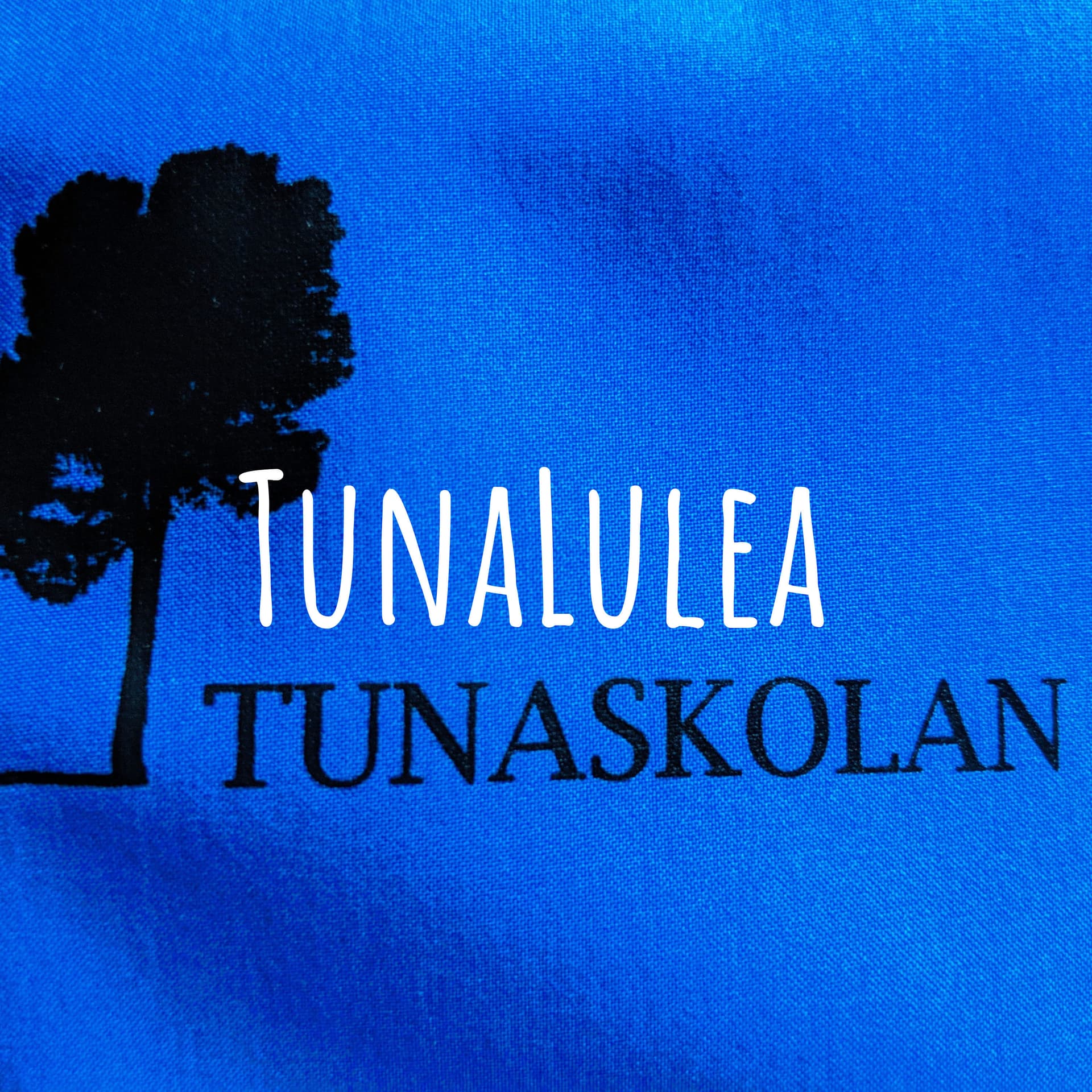 TunaLulea - Podcasts