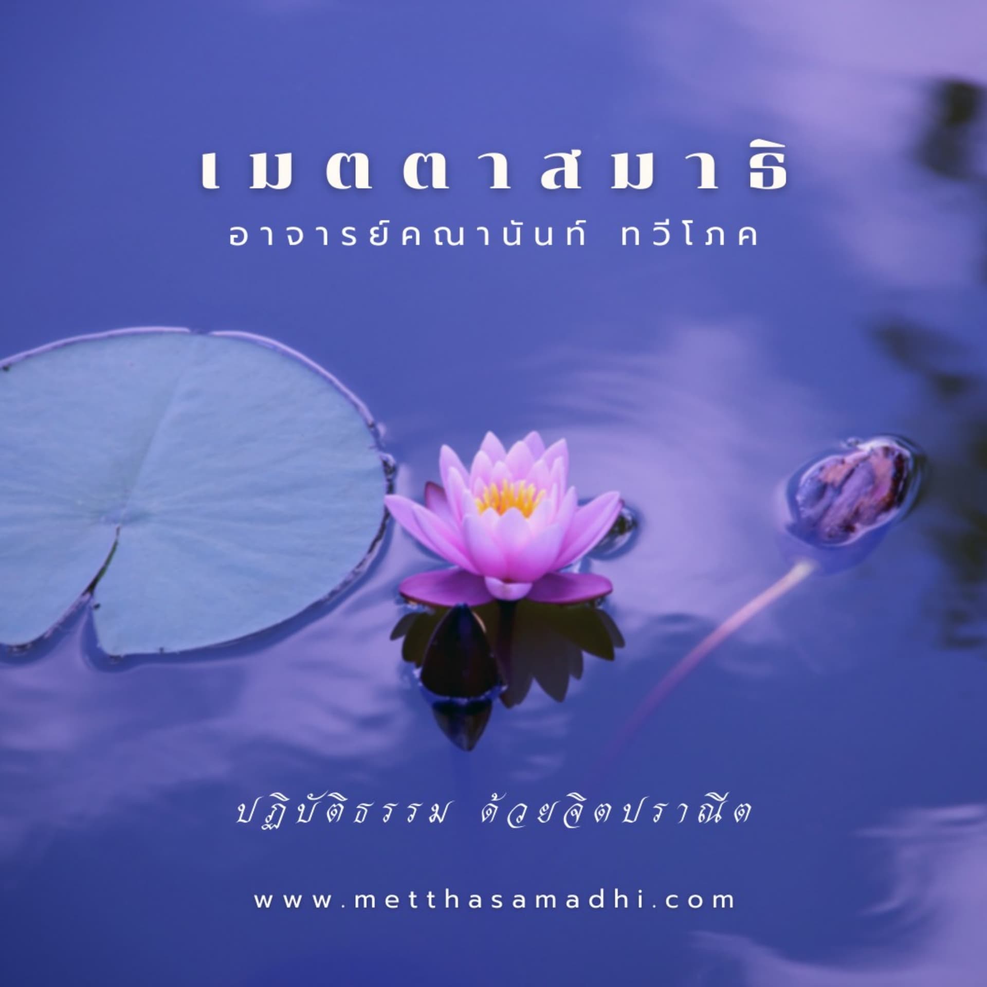หลักการปฏิบัติในเมตตาสมาธิขั้นสูง (Metthasamadhi Intensive Meditation) - Podcasts