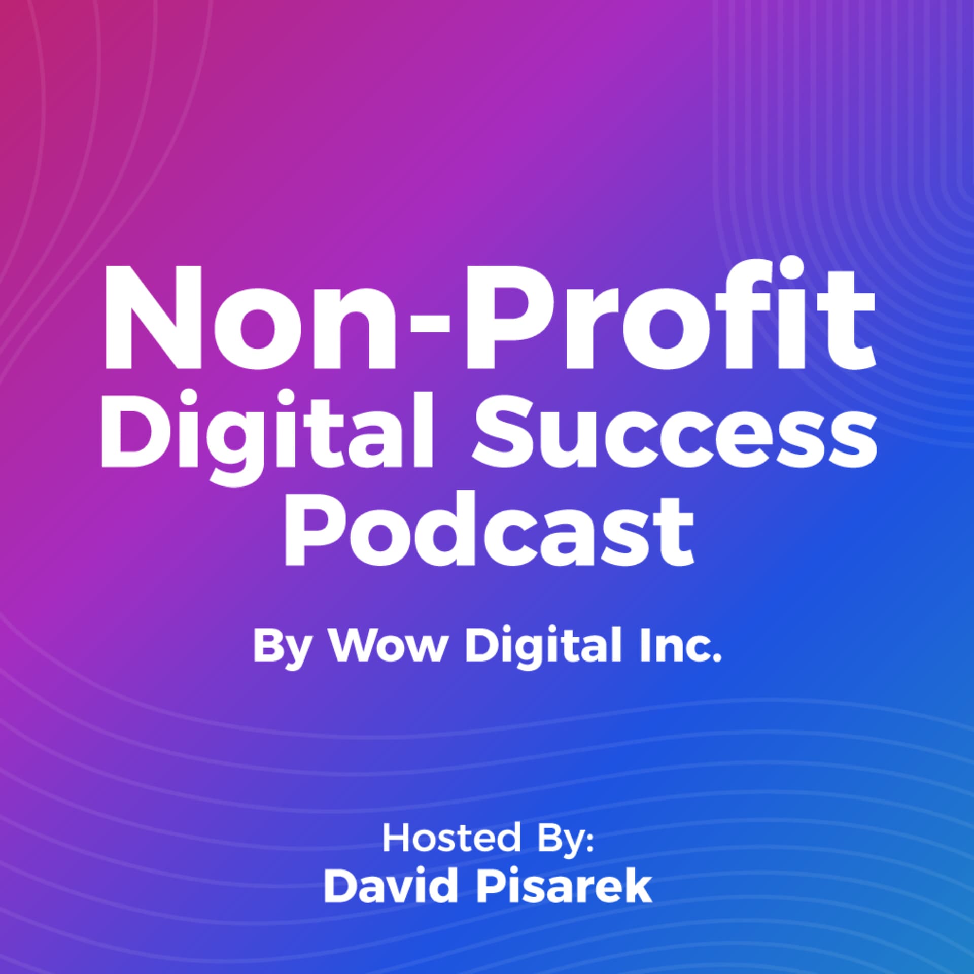Non-Profit Digital Success - Podcasts