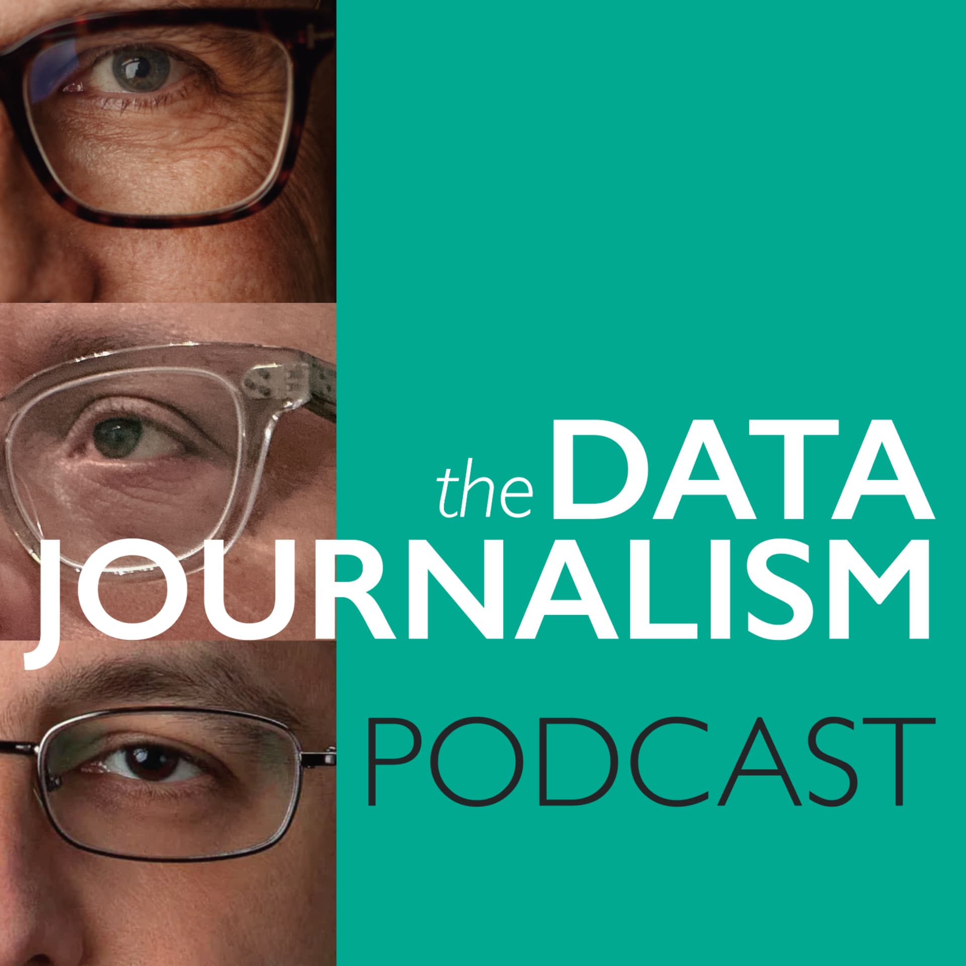 The Data Journalism Podcast - Podcasts