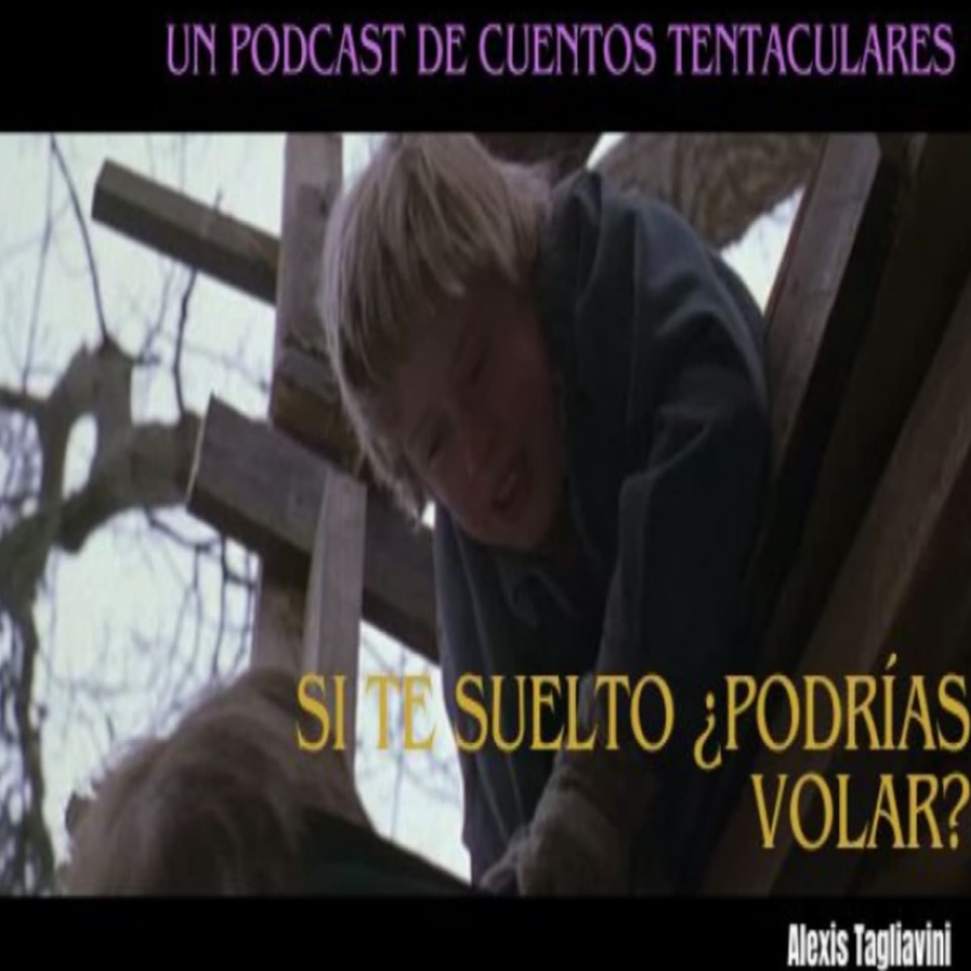 Si te suelto ¿Podrías Volar? - Podcasts