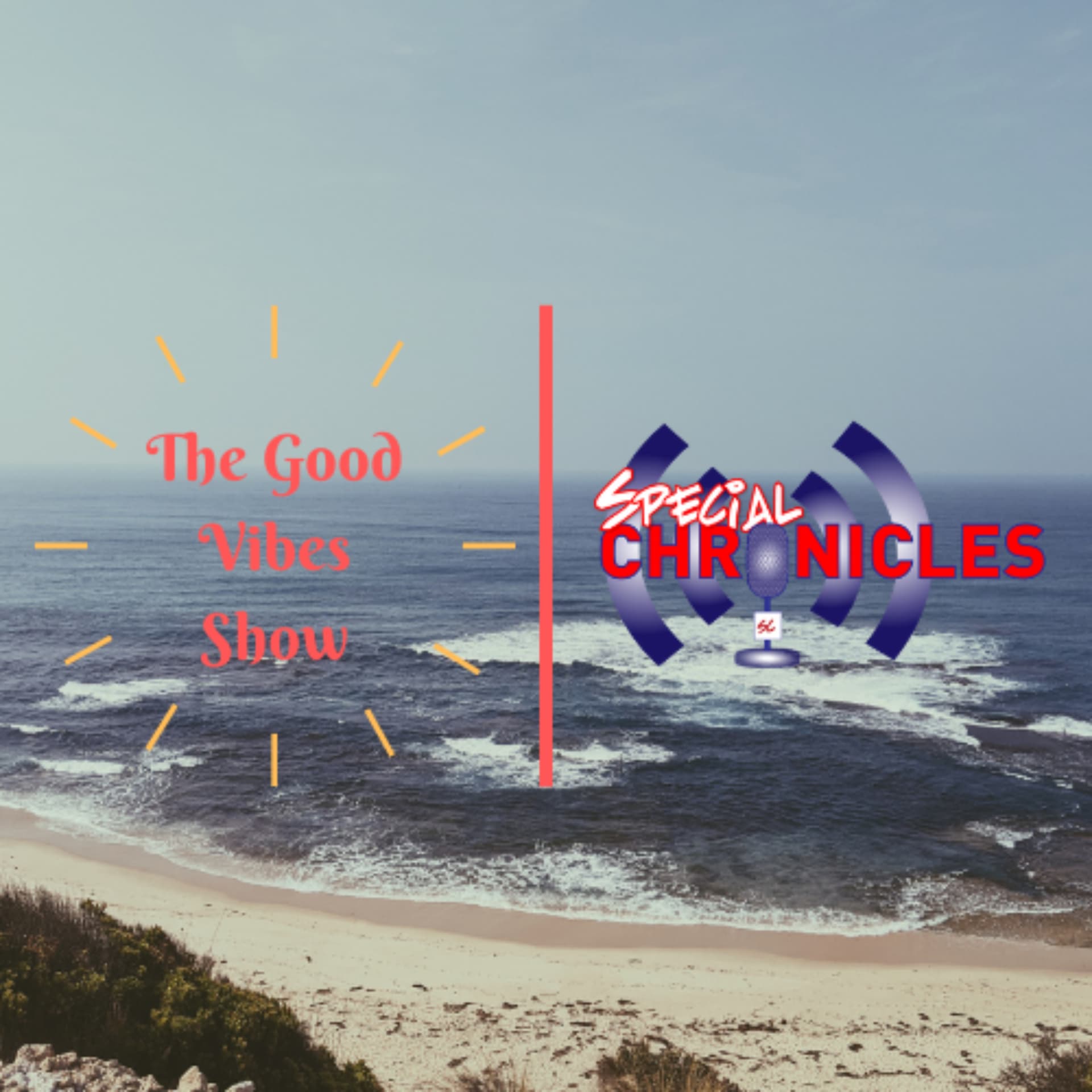 The Good Vibes Show by Jerry Holy - Podcasts