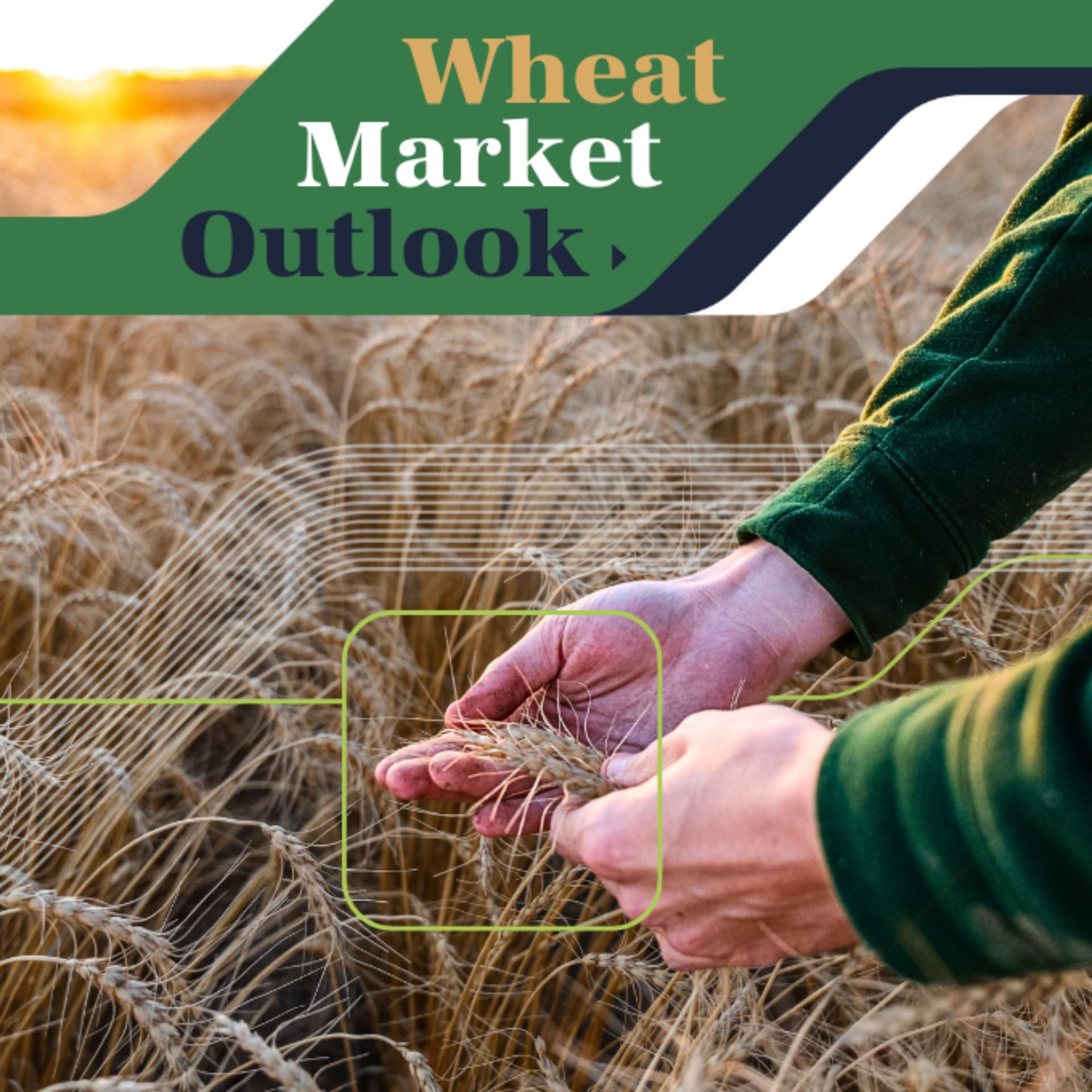 Wheat Market Outlook - Podcasts