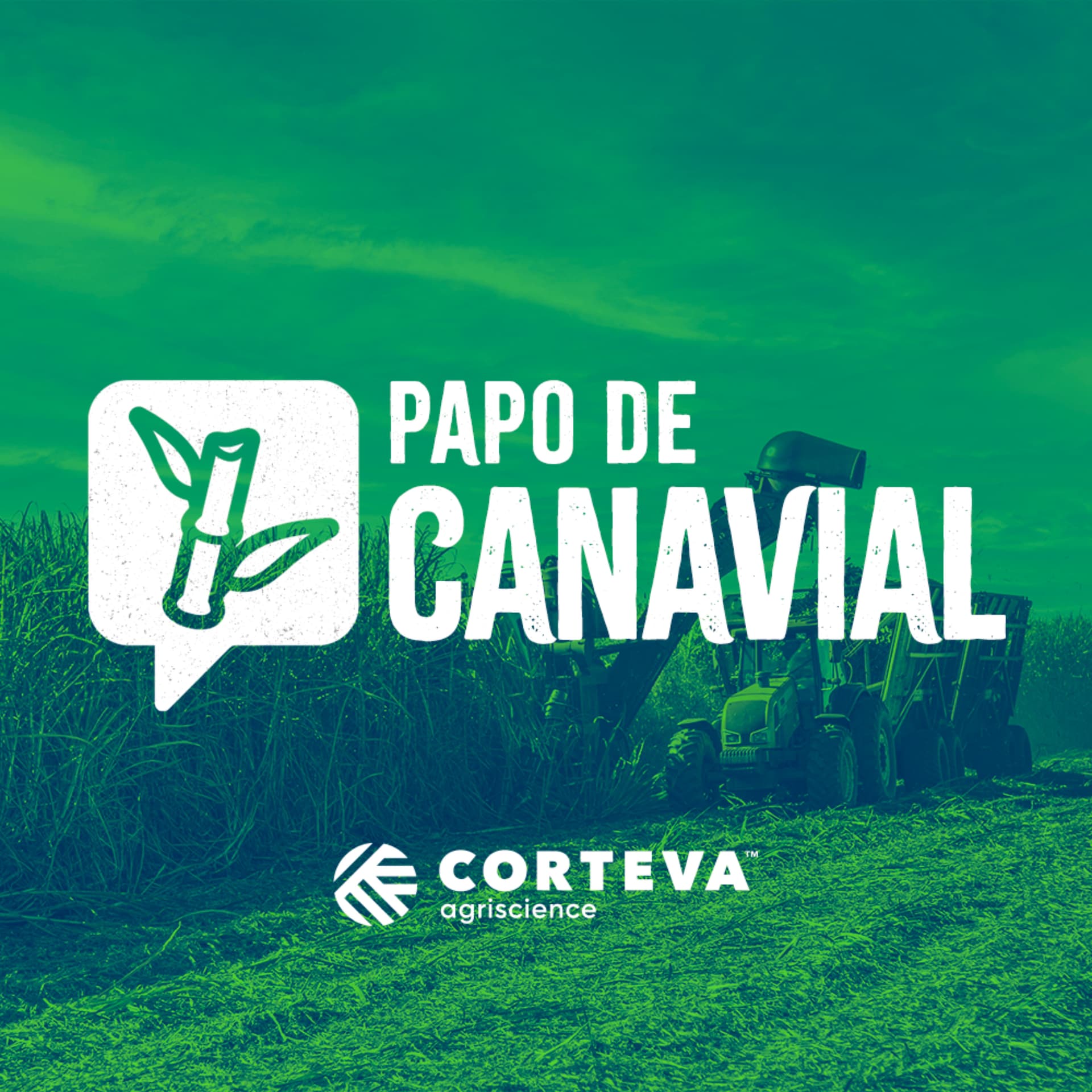Papo de Canavial - Podcasts