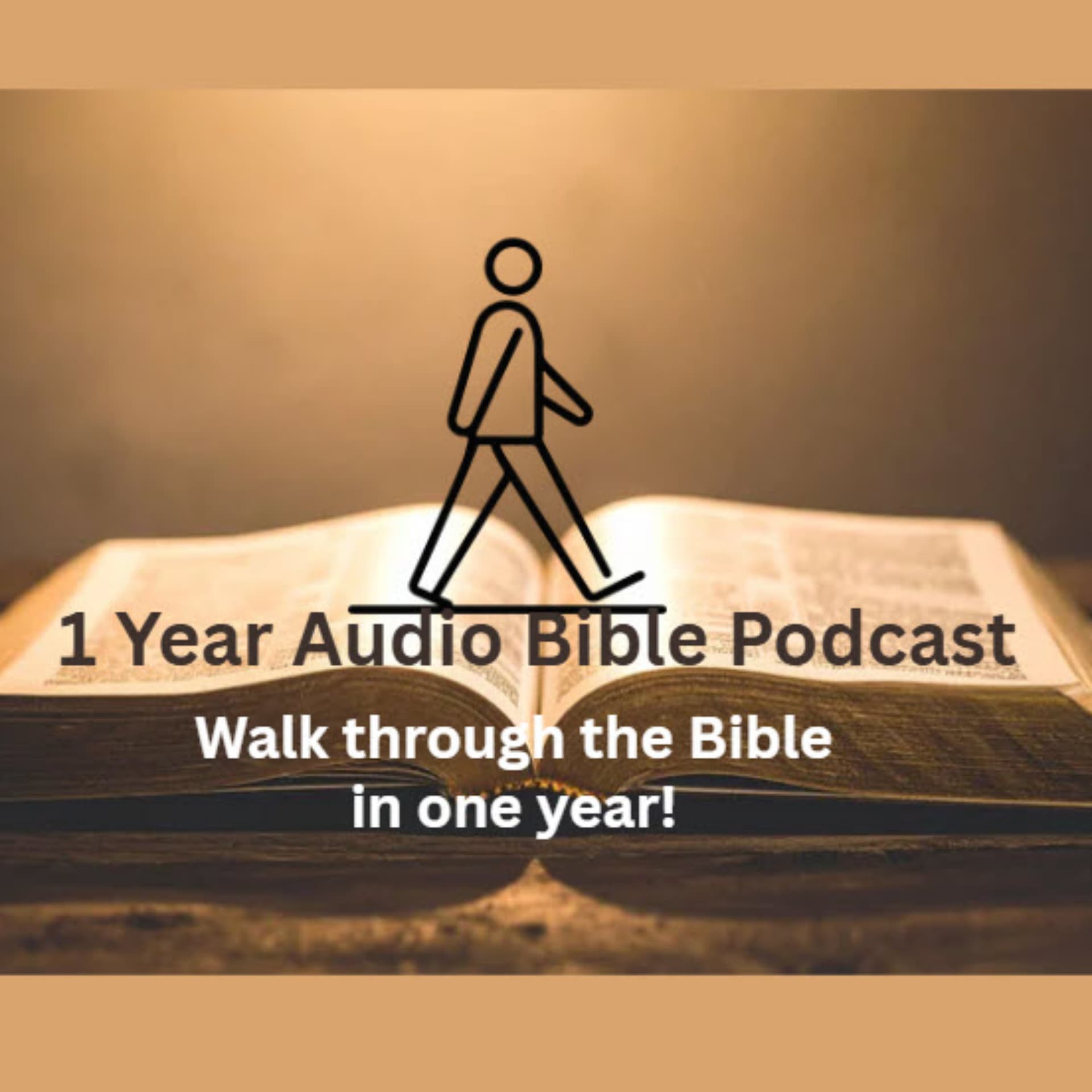 1 Year Audio Bible Podcast - Podcasts