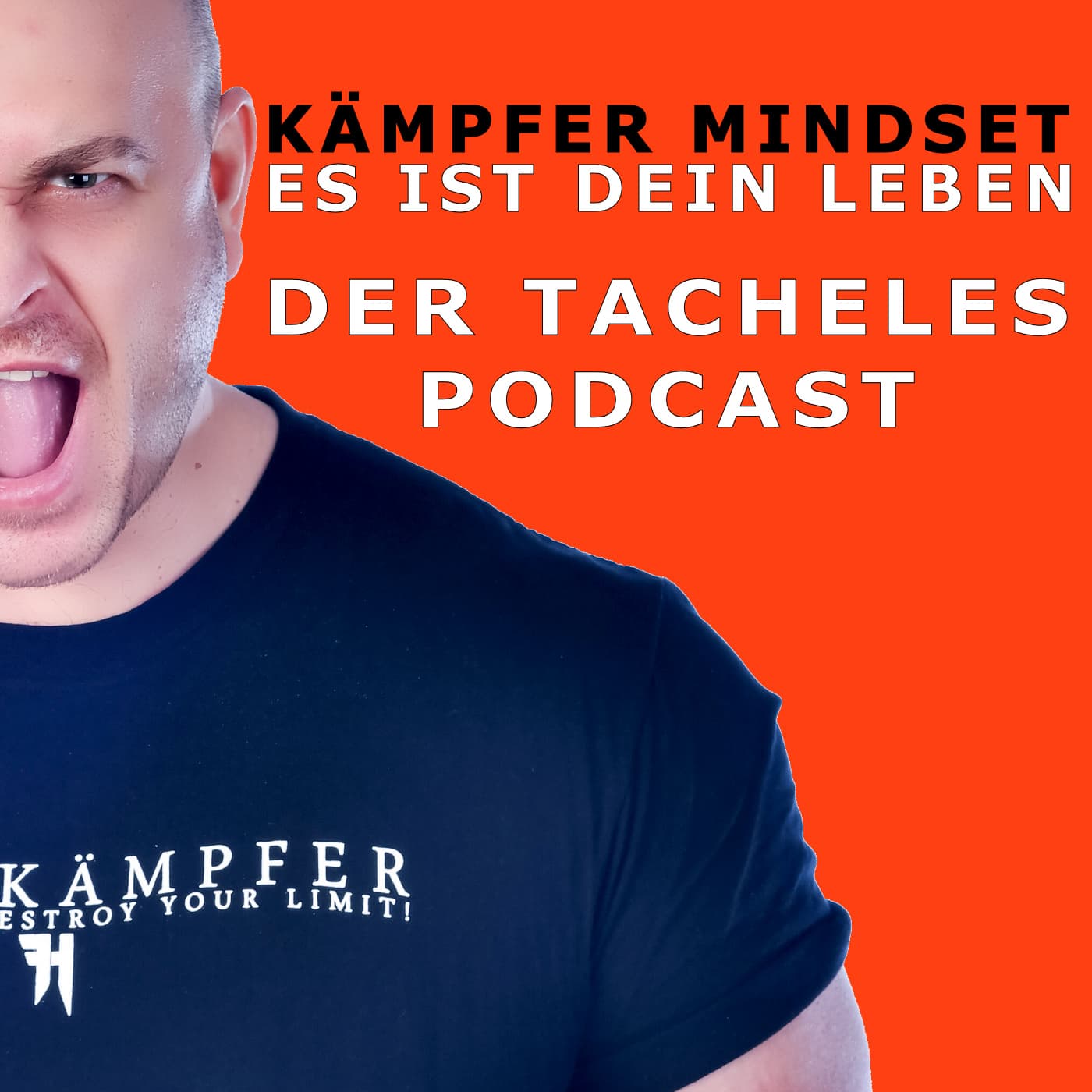 Kämpfer Mindset - Es ist Dein Leben! - Podcasts