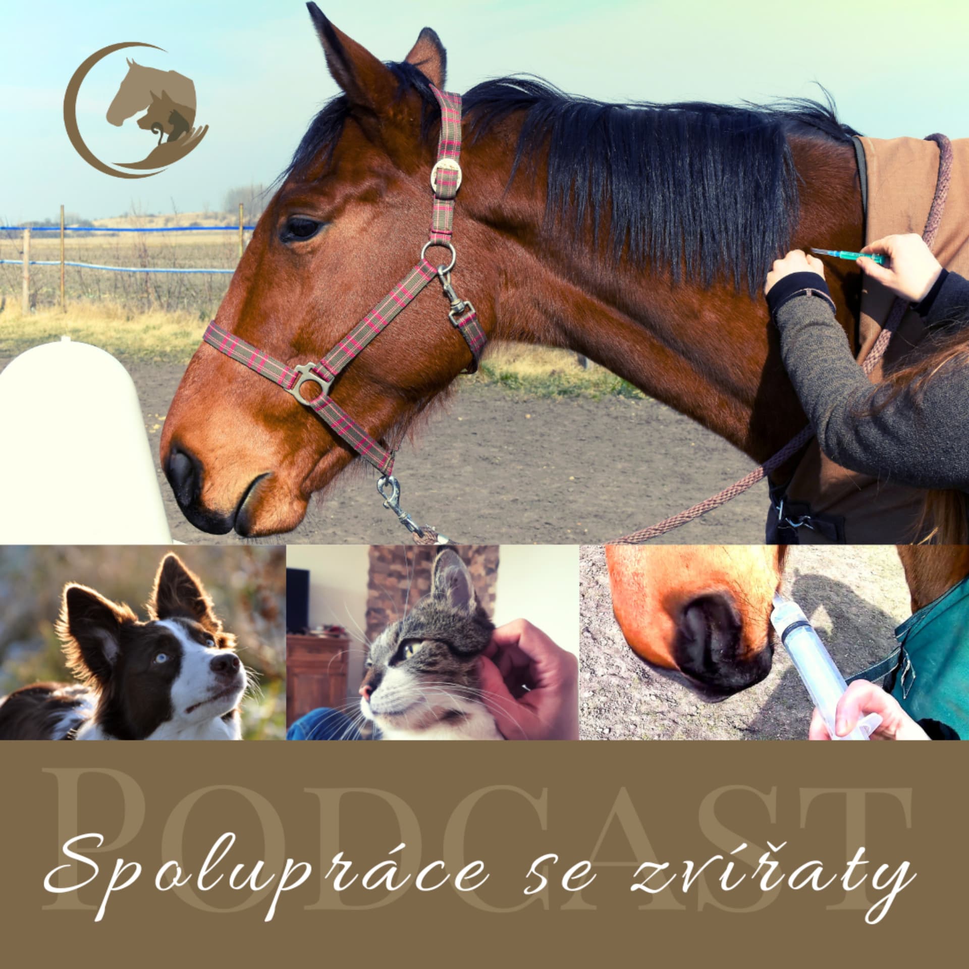 Spolupráce se zvířaty (dříve "Pozitivně k veterináři") - Podcasts