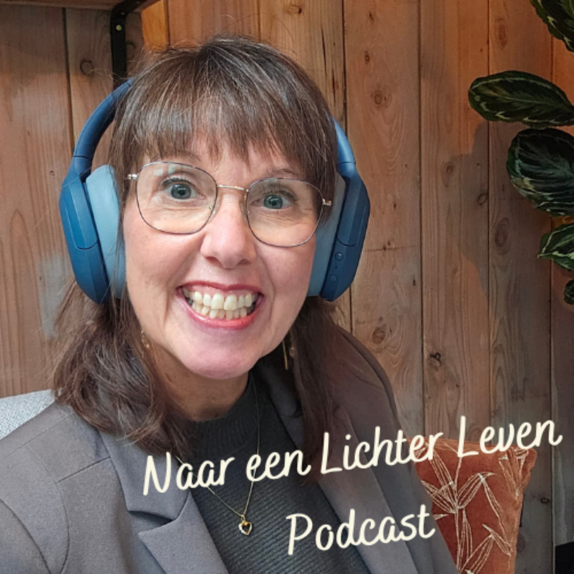 Naar Een Lichter Leven Podcast - Podcasts